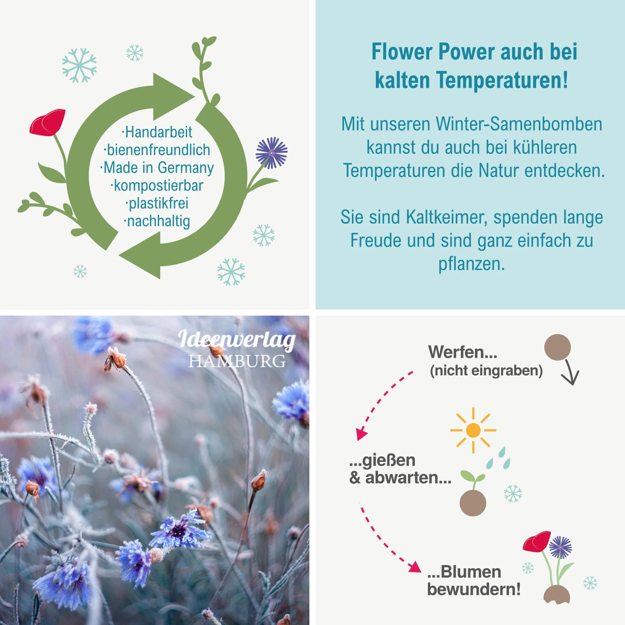 Vorschaubild 7