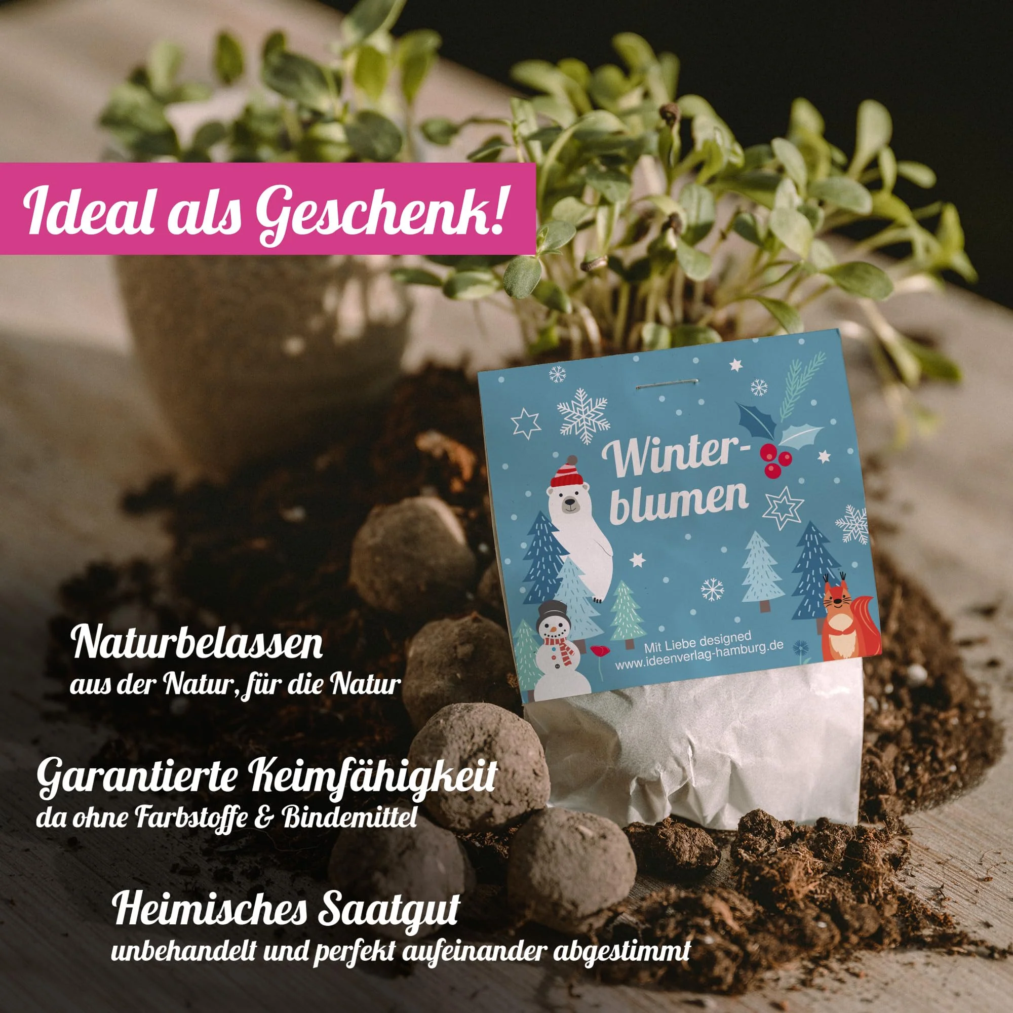 Vorschaubild 8