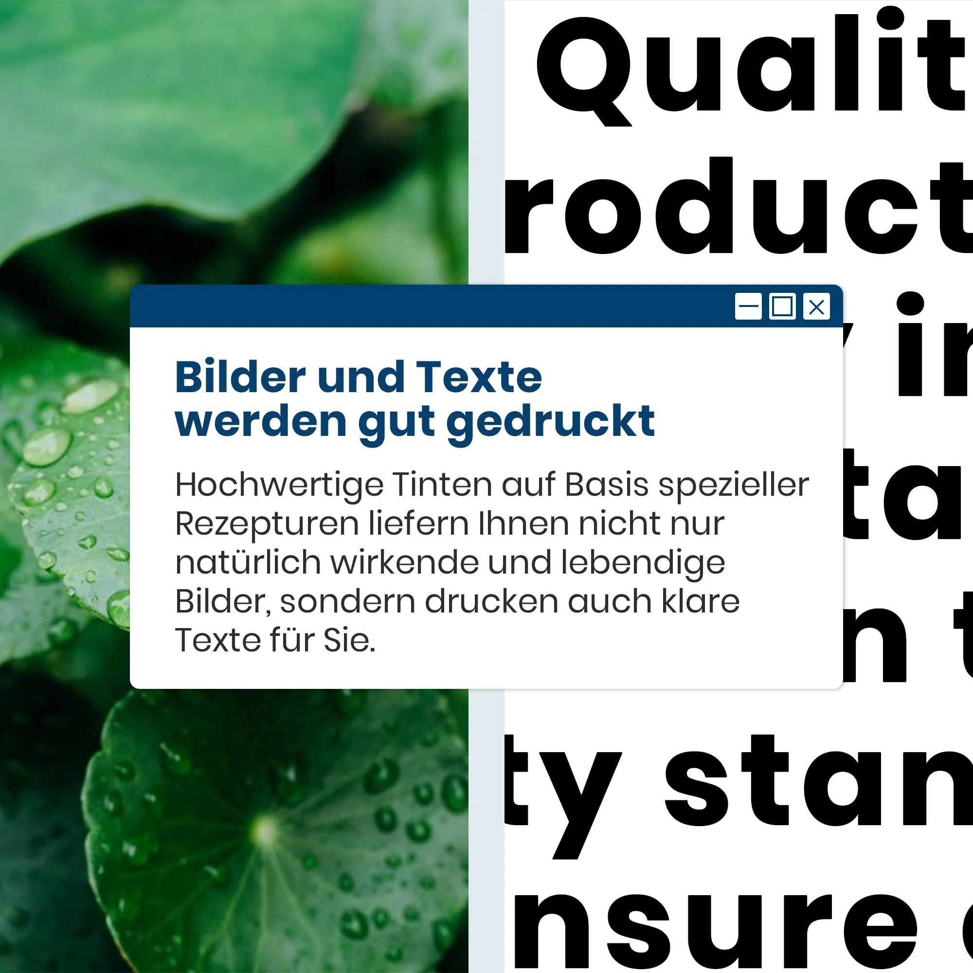 Vorschaubild 4