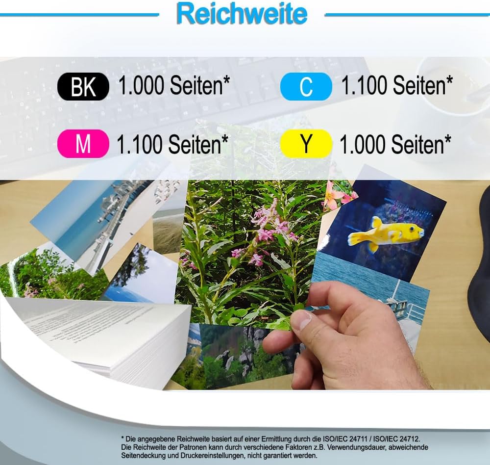 Vorschaubild 6