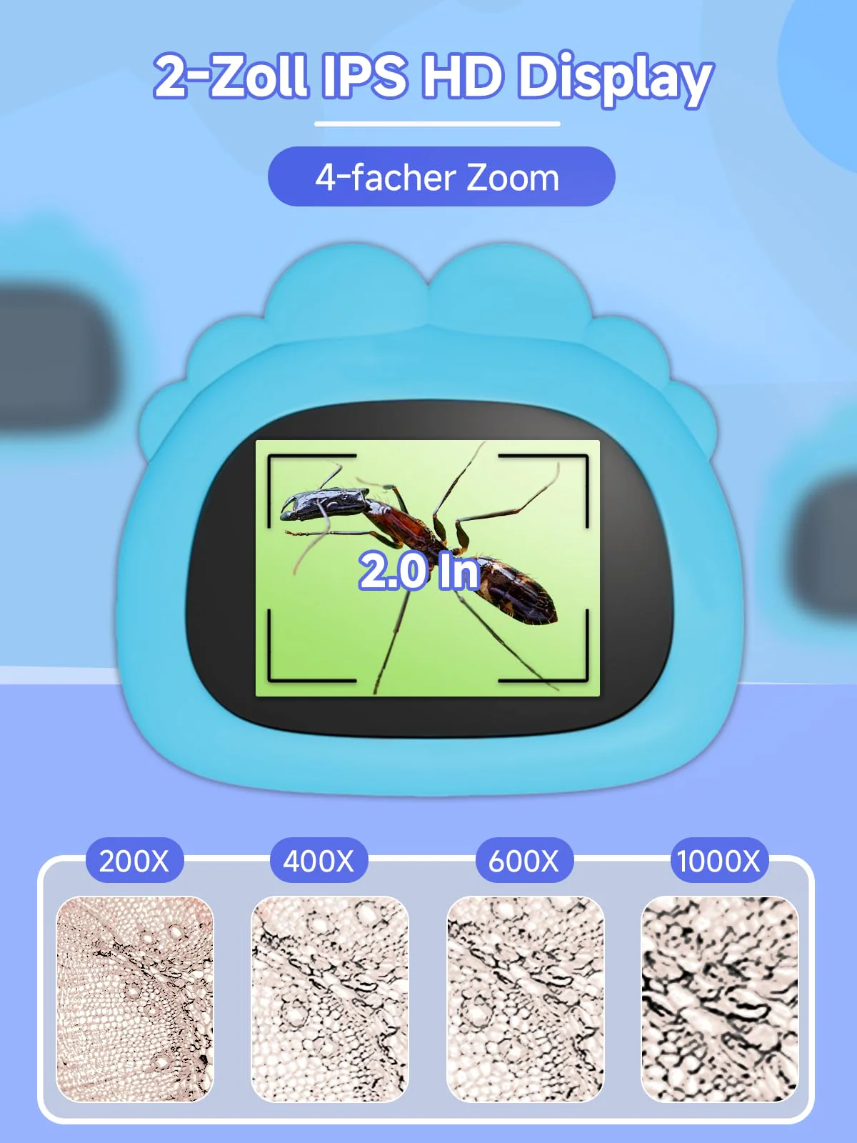 Vorschaubild 8