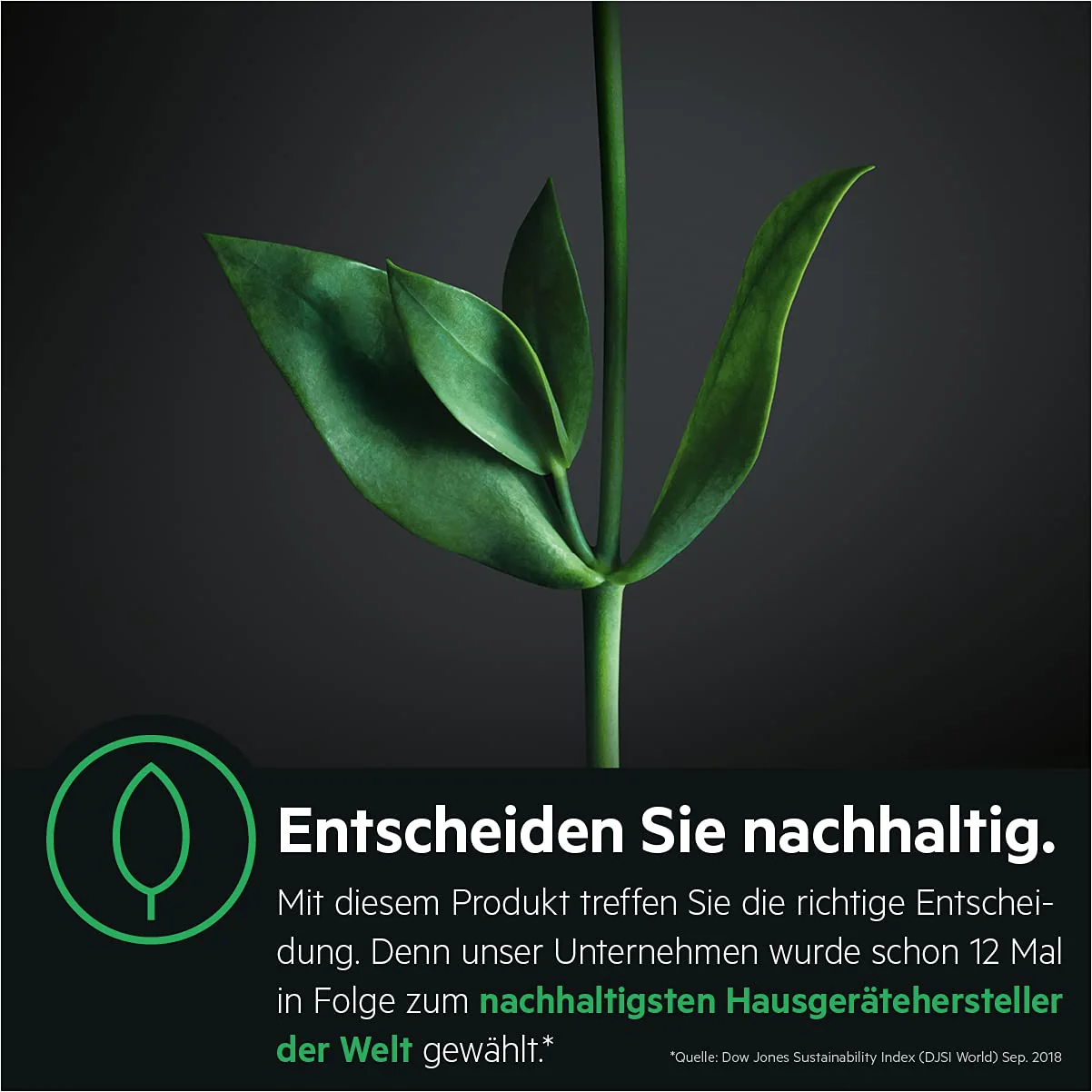 Vorschaubild 7