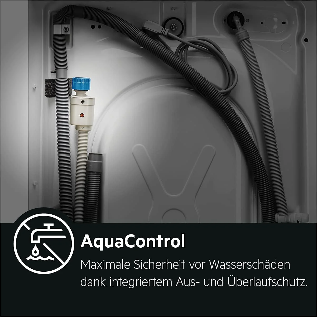 Vorschaubild 19