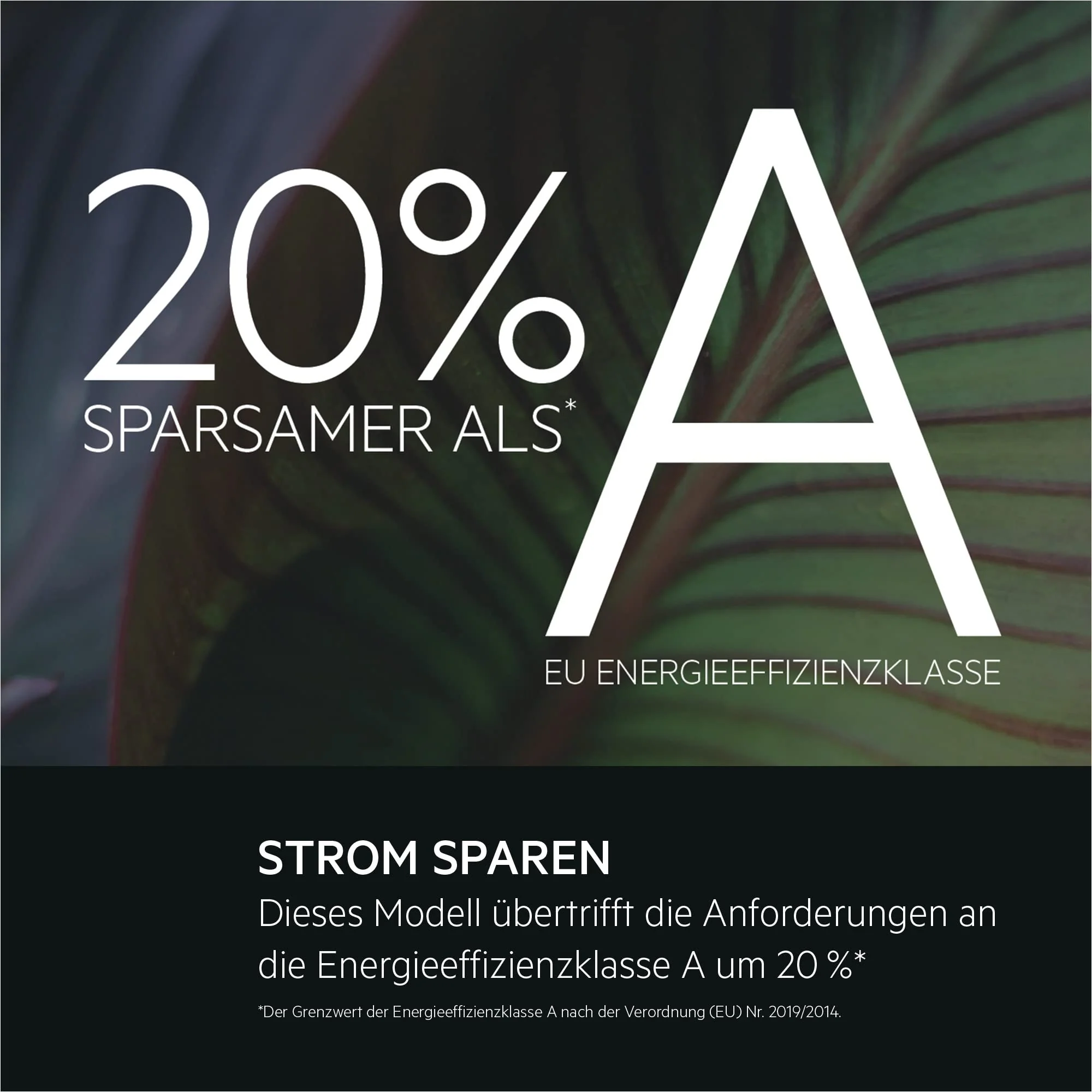 Vorschaubild 11
