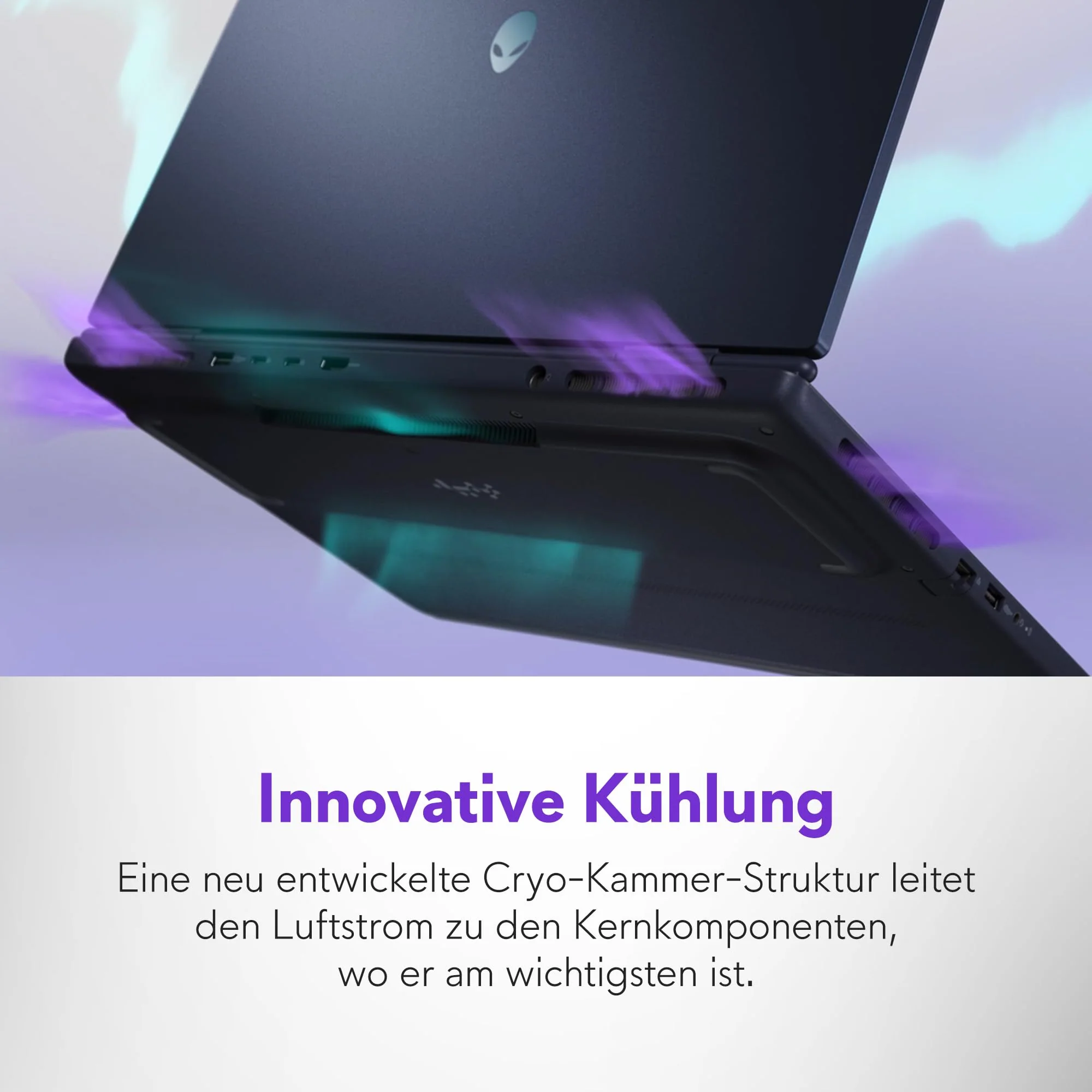 Vorschaubild 13