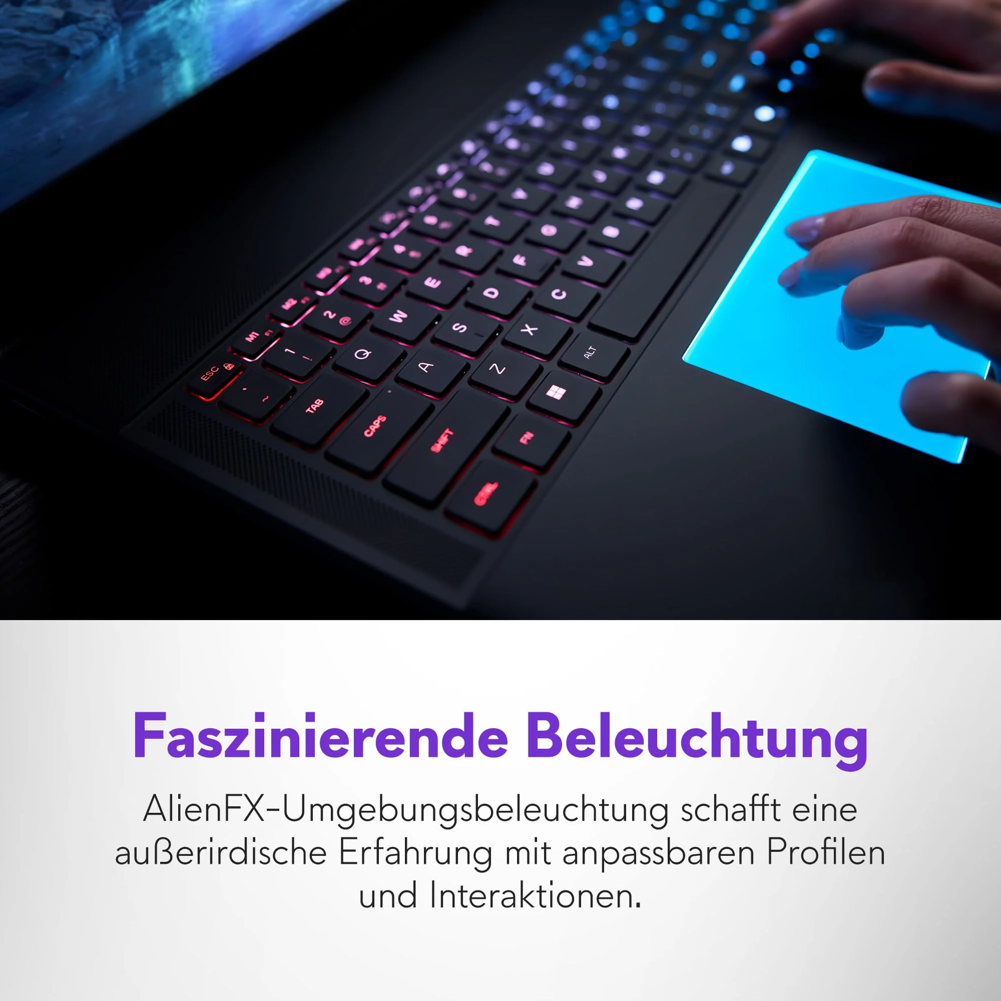 Vorschaubild 13