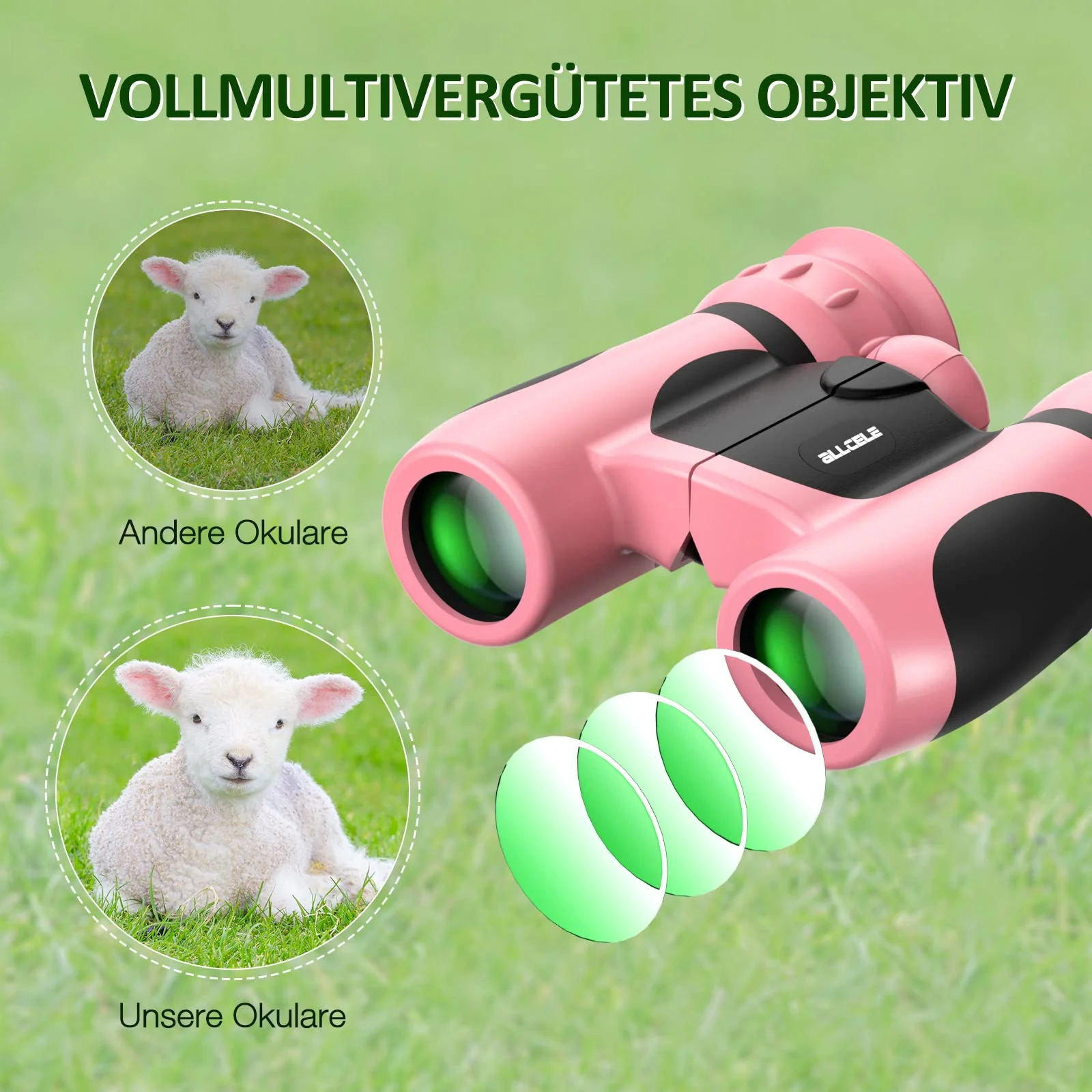 Vorschaubild 5