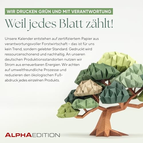 Vorschaubild 8
