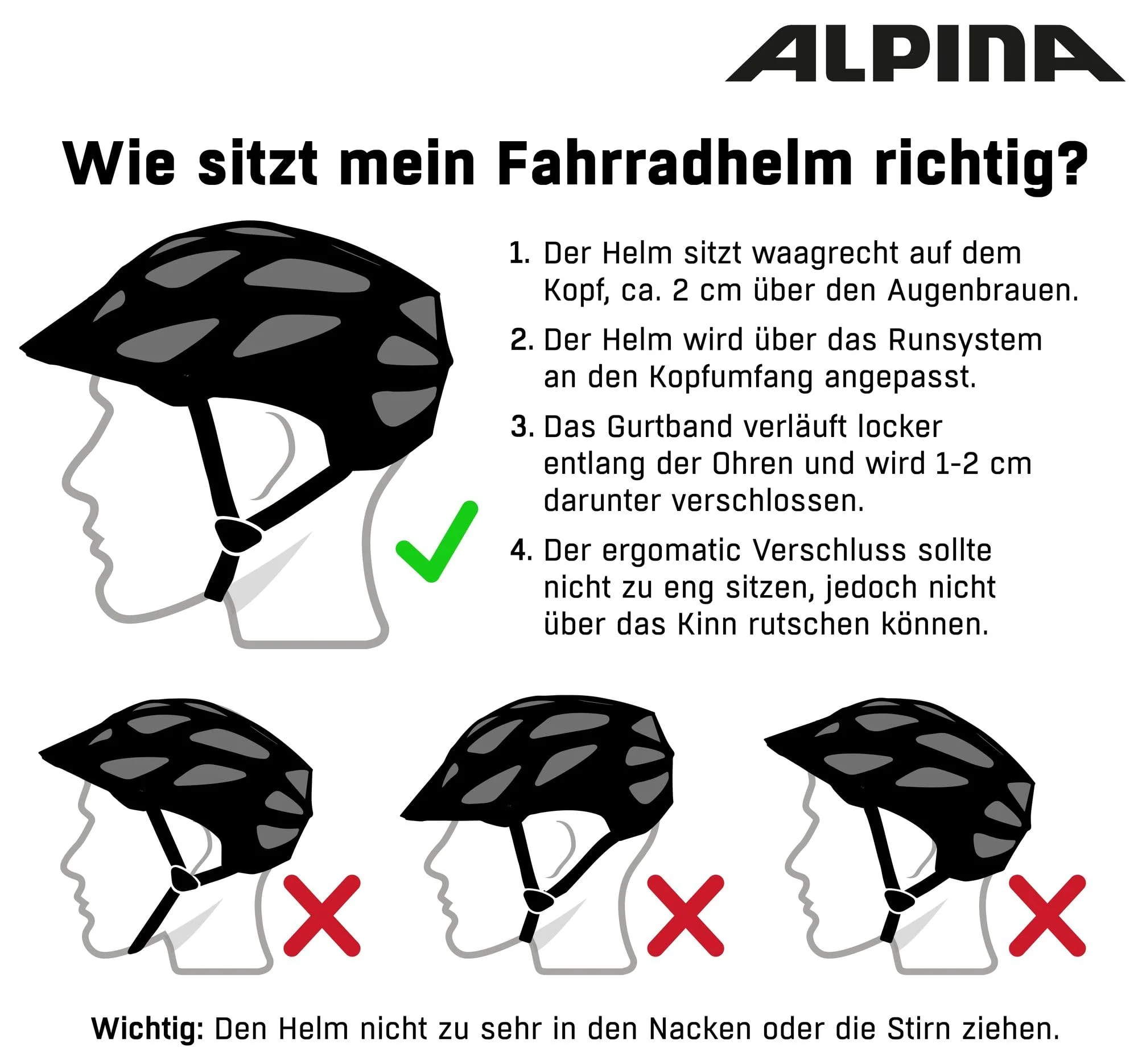 Vorschaubild 5