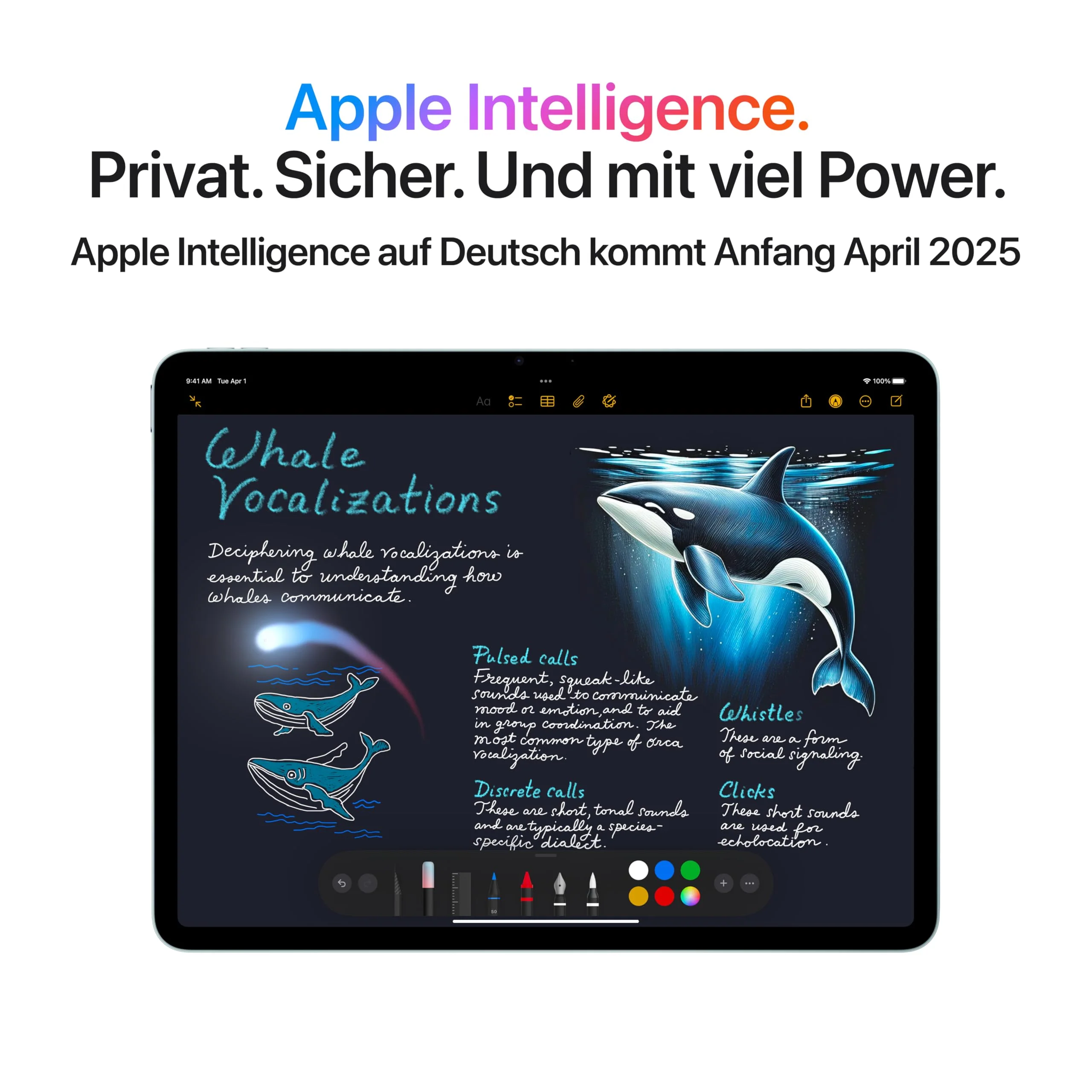 Vorschaubild 6