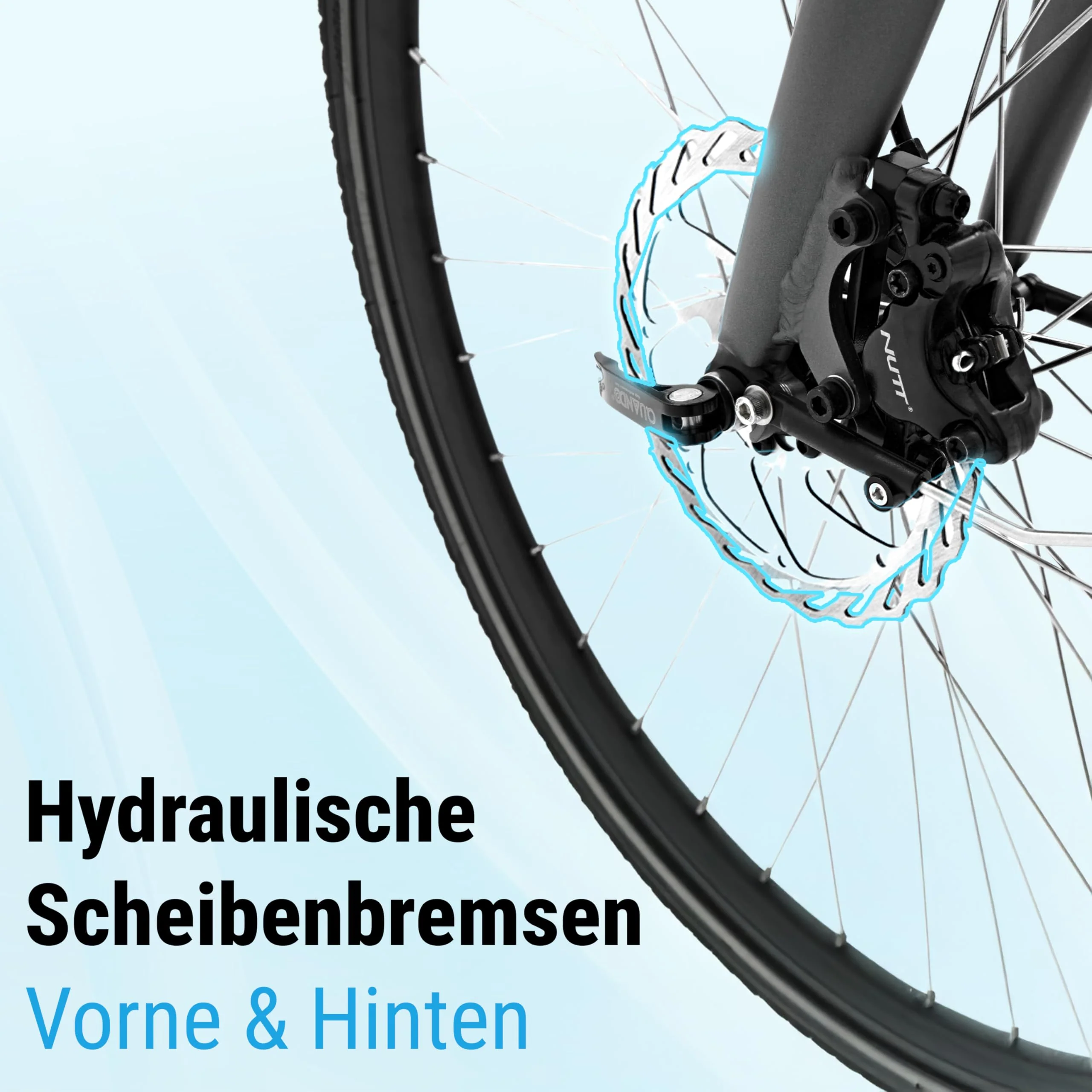 Vorschaubild 7