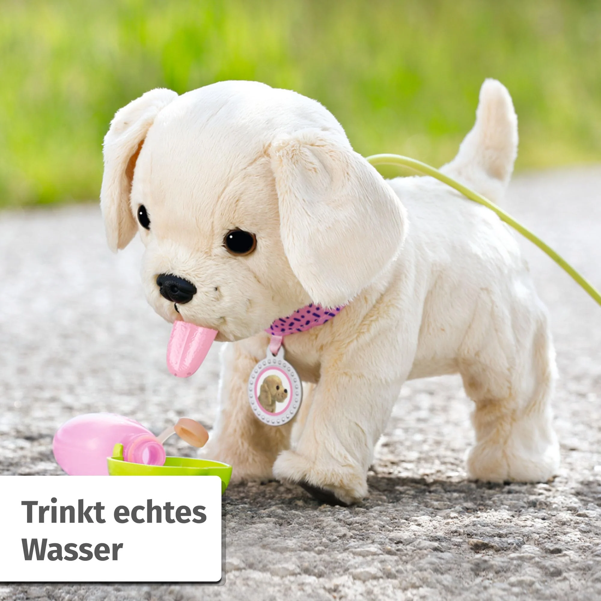 Vorschaubild 10