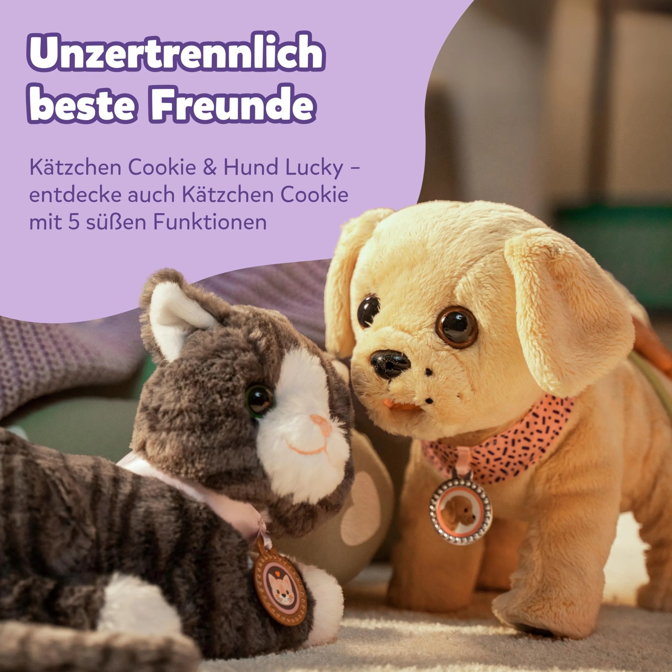 Vorschaubild 4