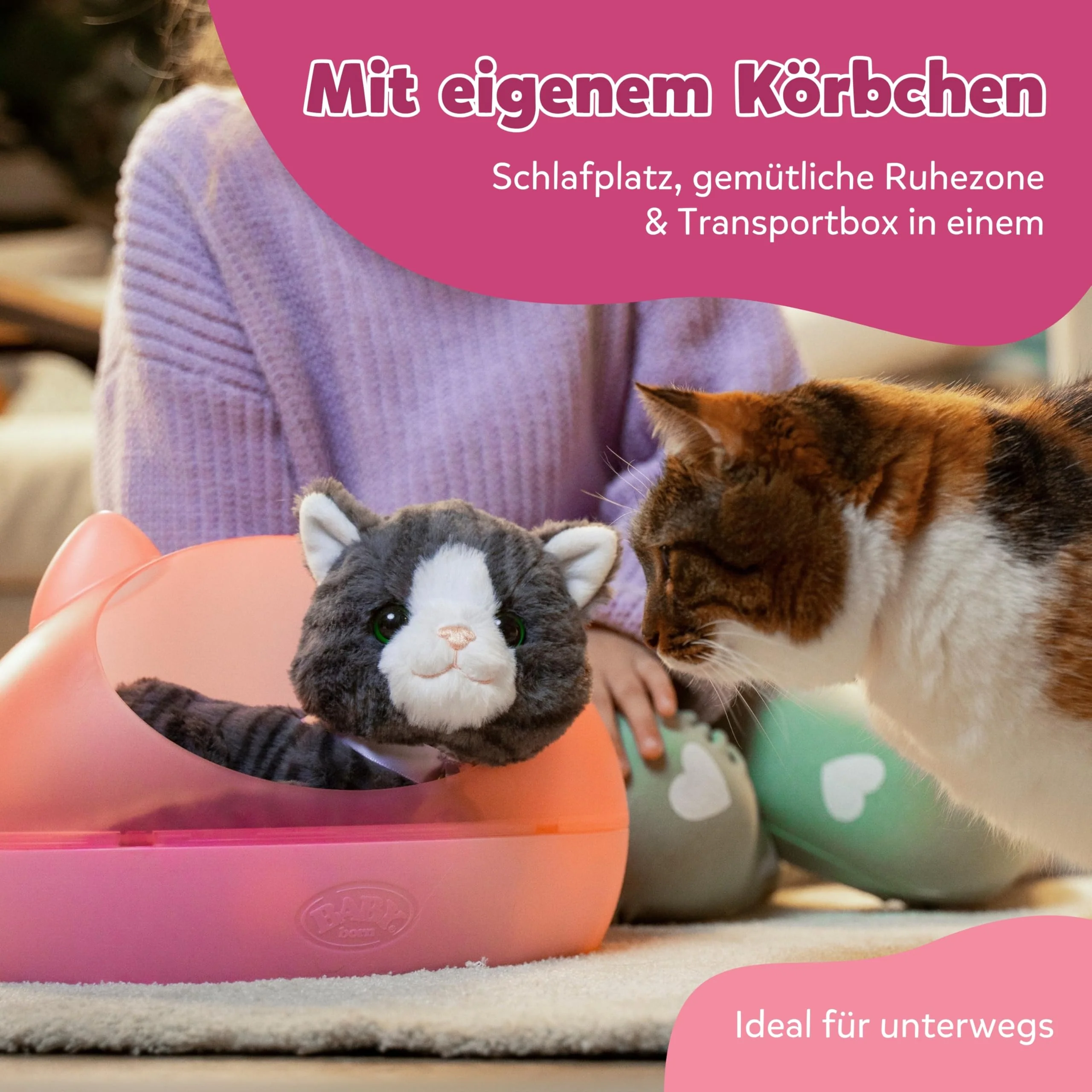 Vorschaubild 5