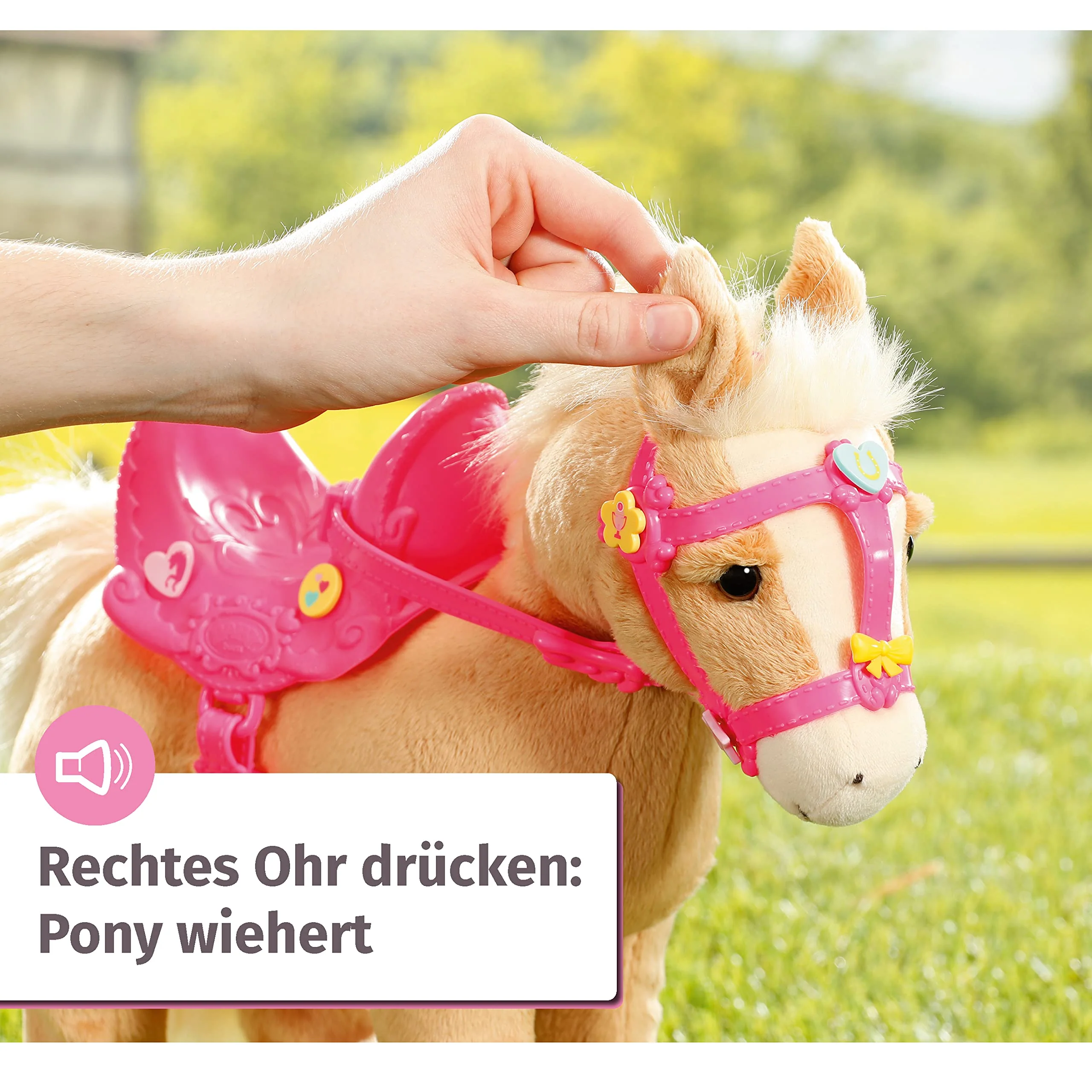 Vorschaubild 5