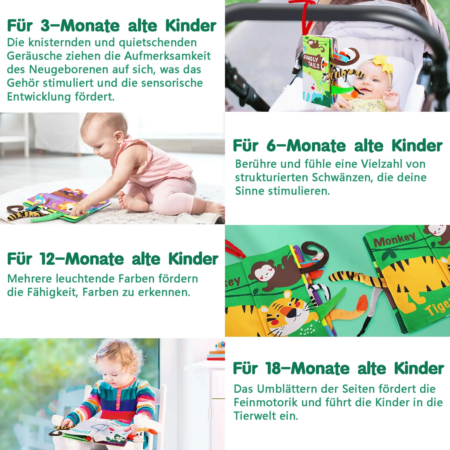 Vorschaubild 2