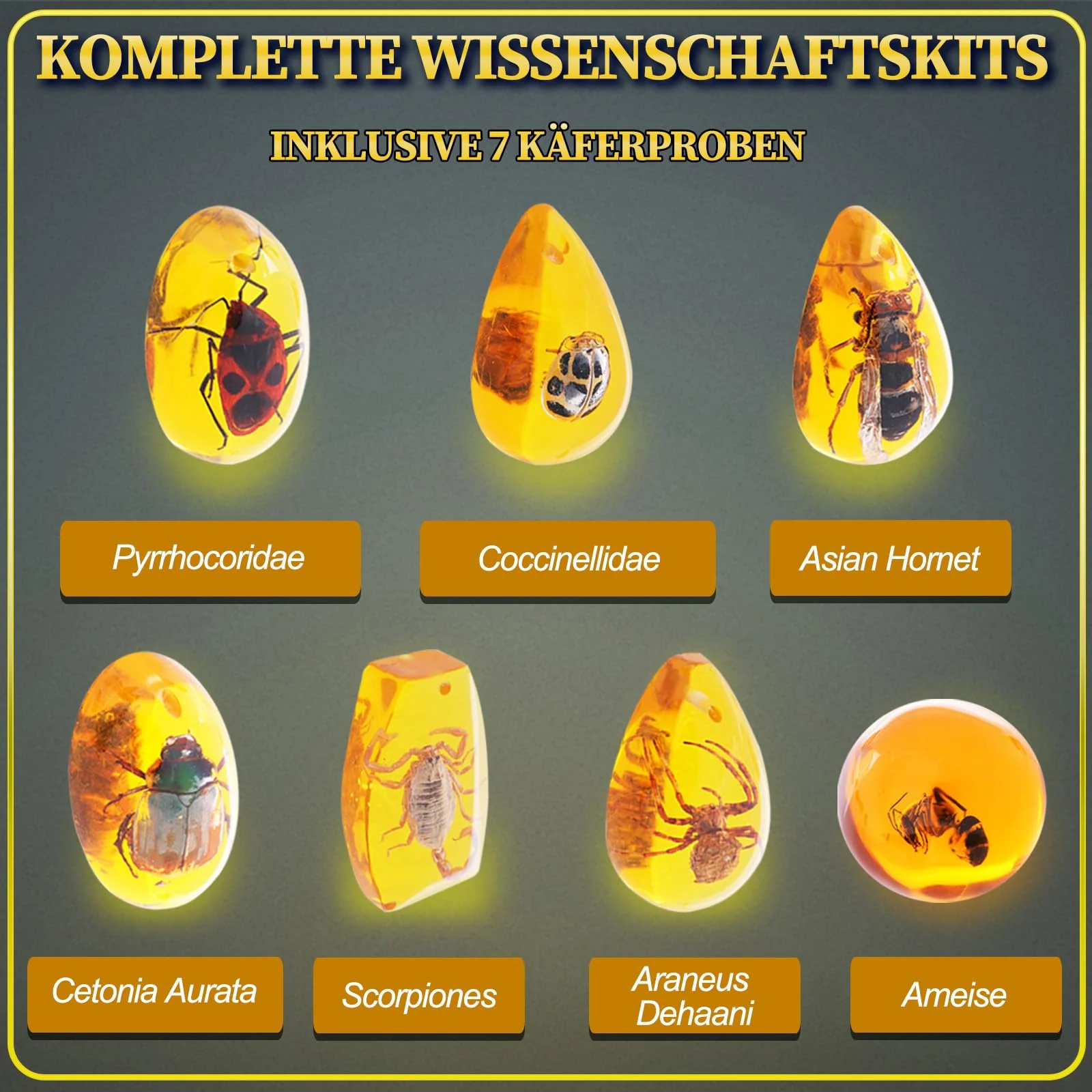 Vorschaubild 6