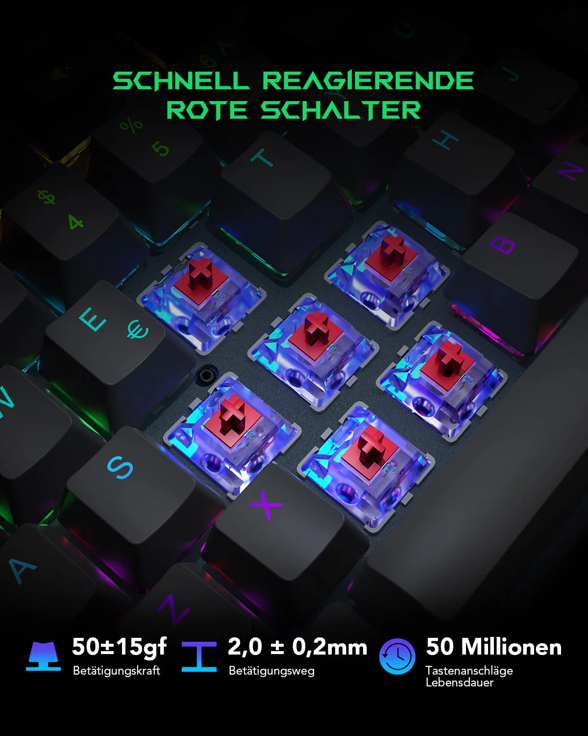 Vorschaubild 6