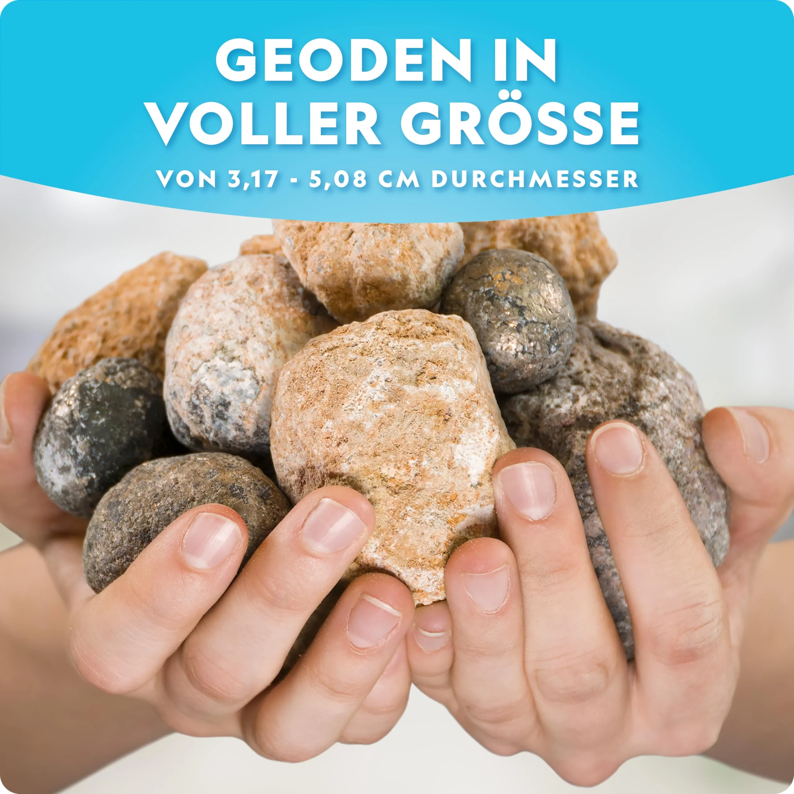 Vorschaubild 4