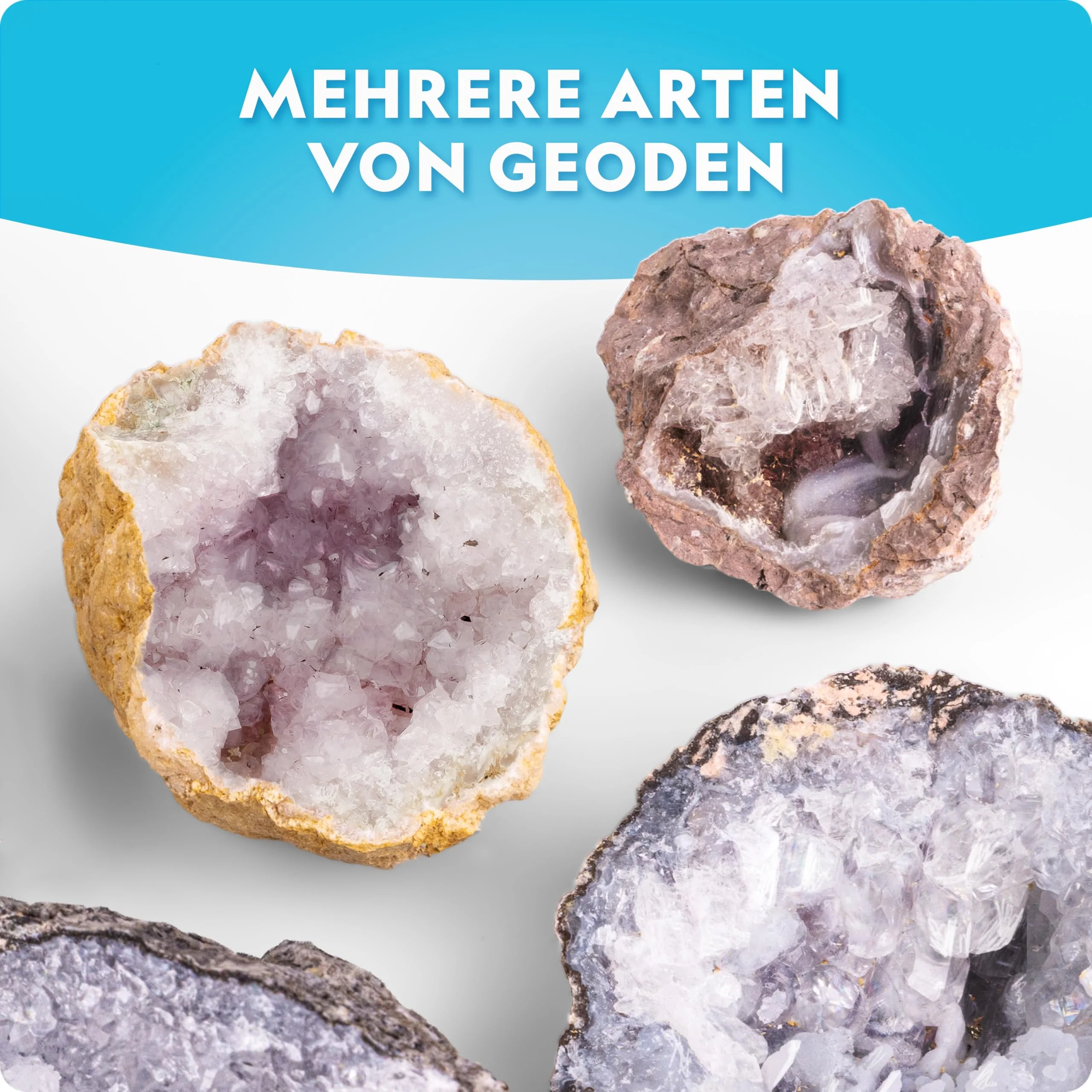 Vorschaubild 5
