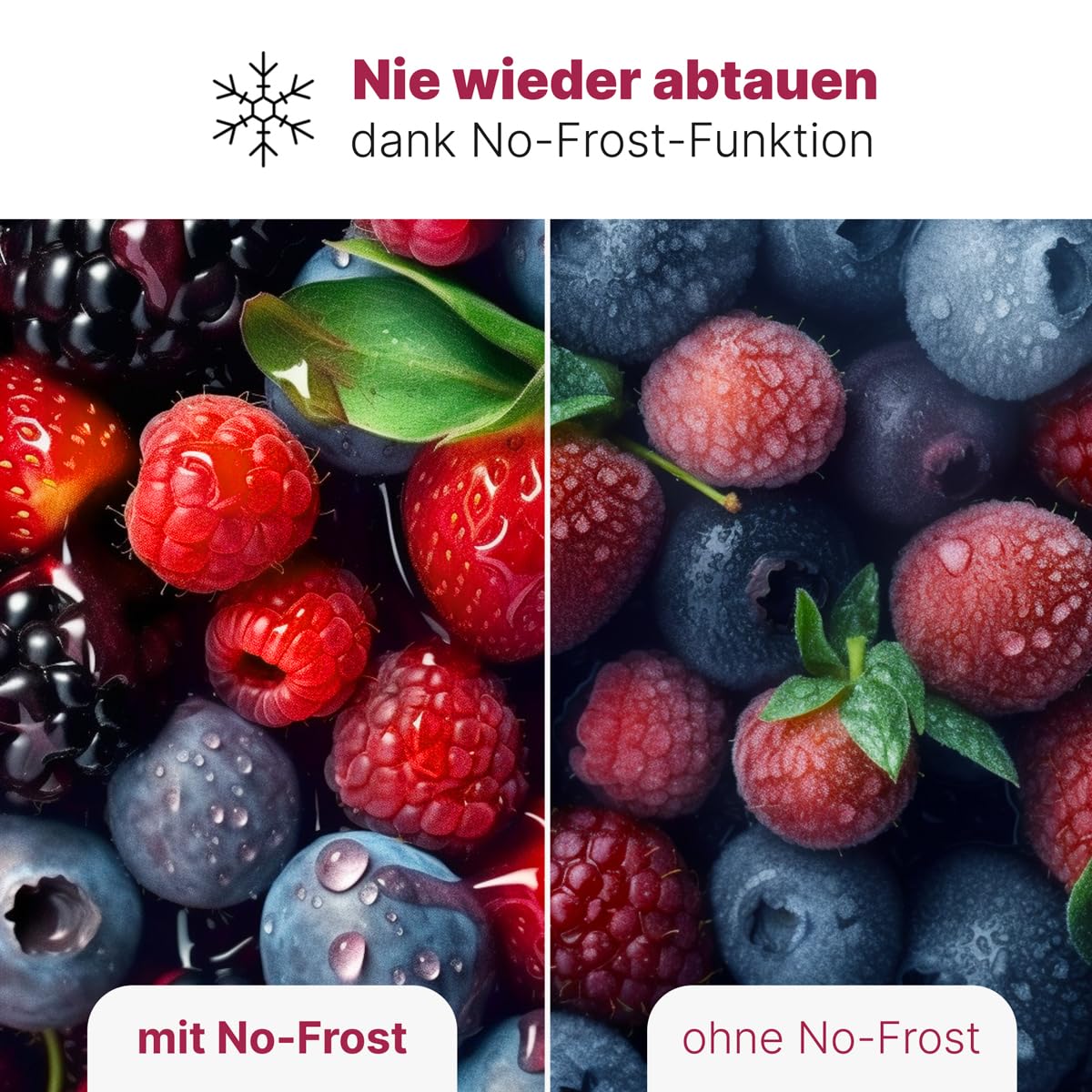 Vorschaubild 8