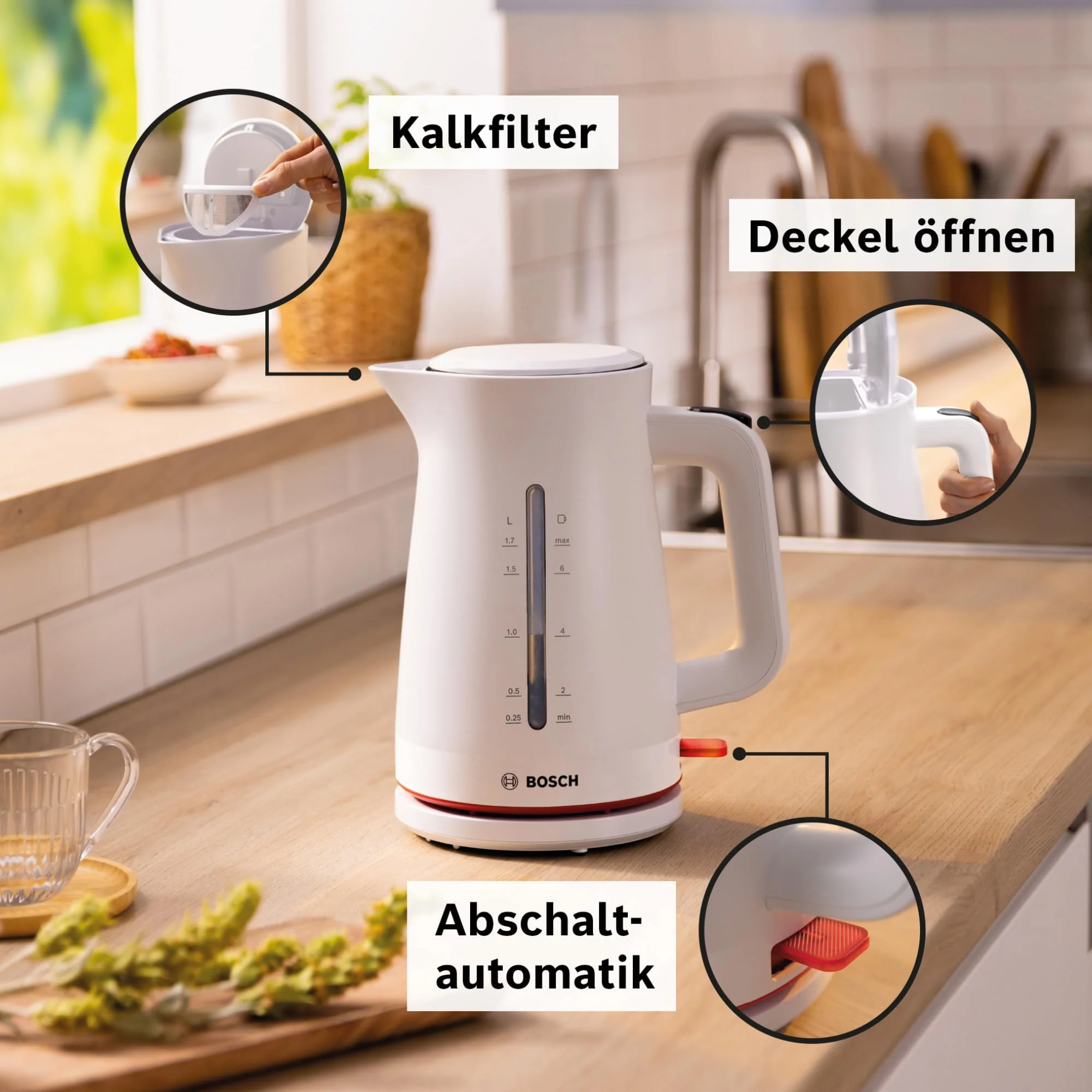 Vorschaubild 8