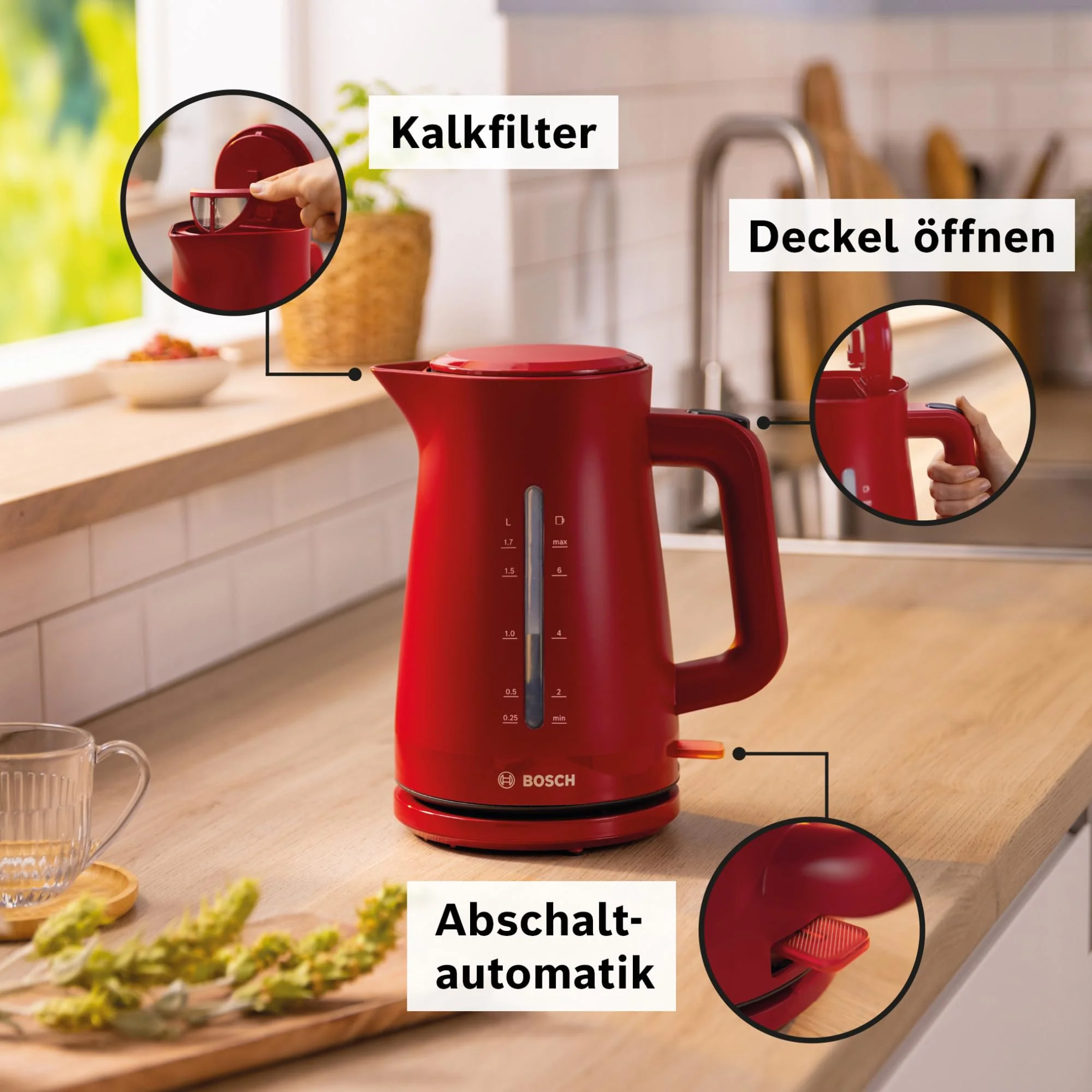 Vorschaubild 8