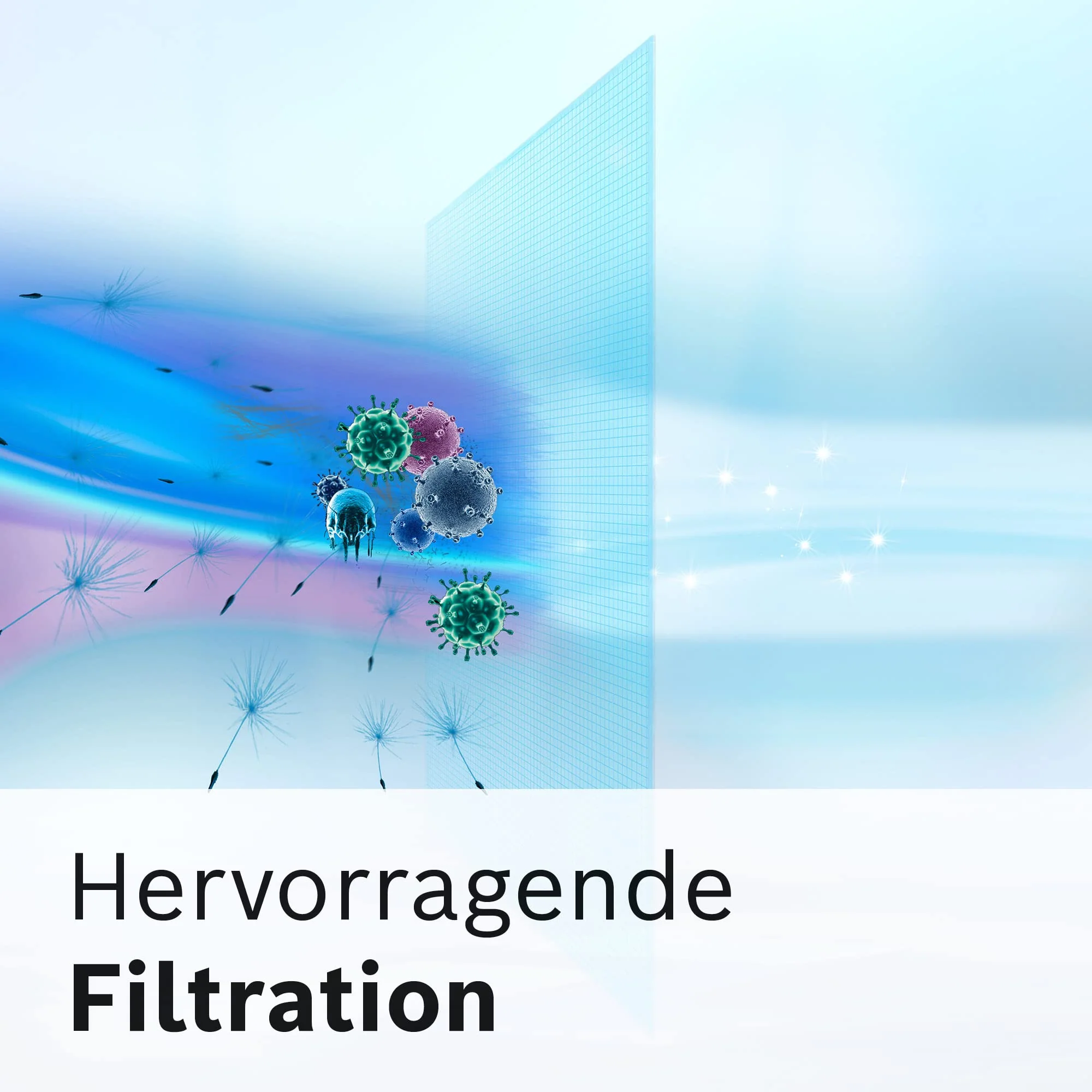 Vorschaubild 7