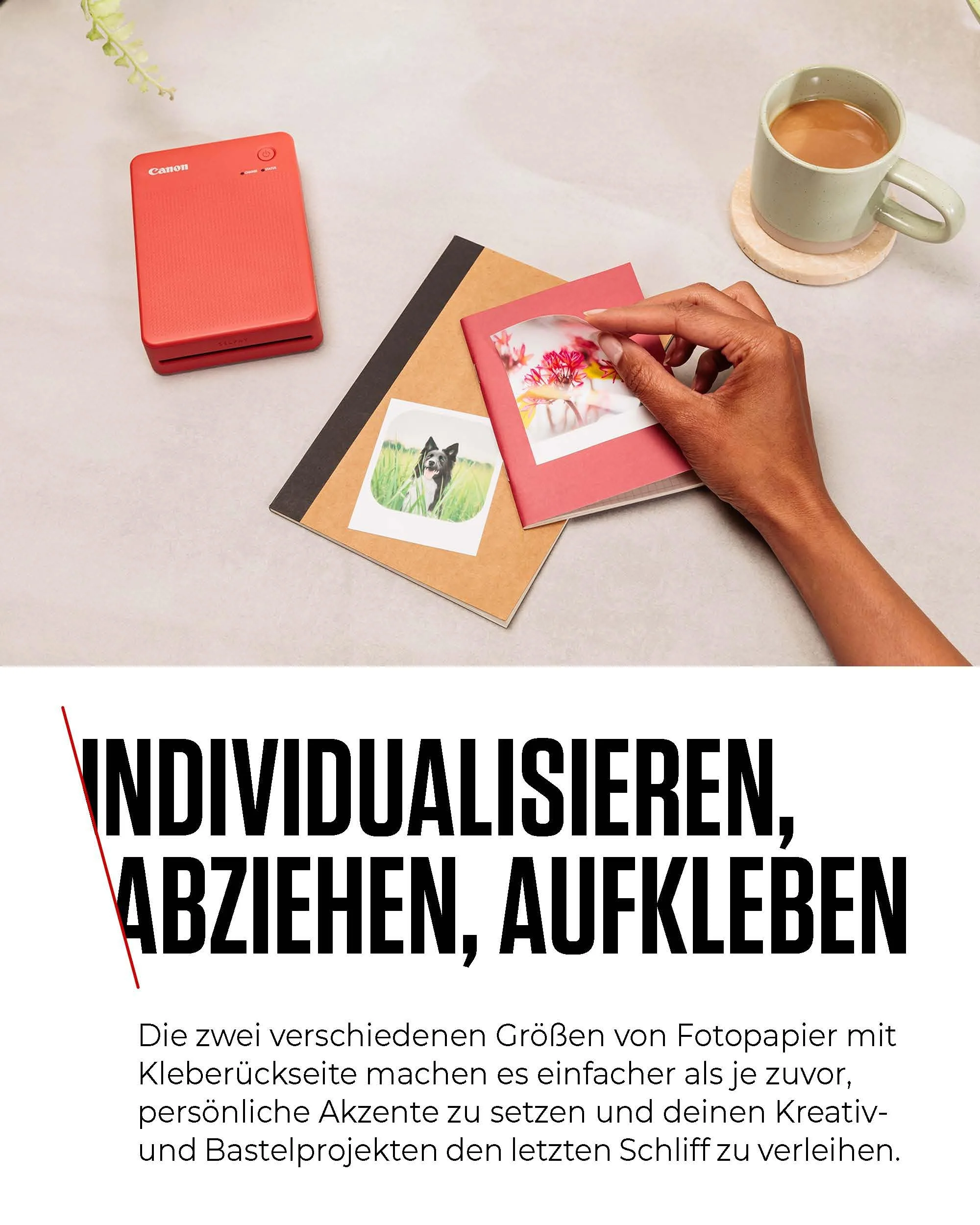 Vorschaubild 8