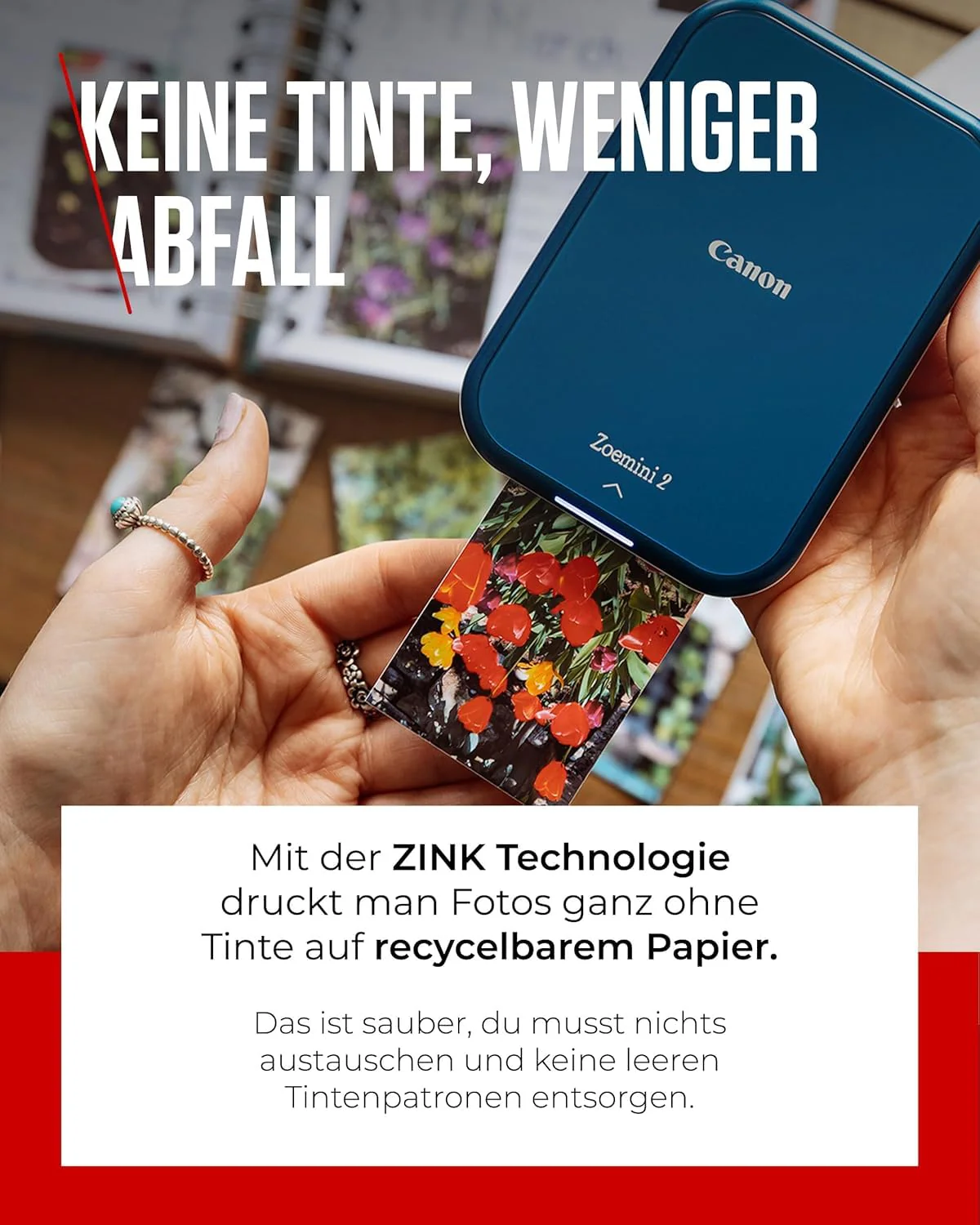 Vorschaubild 8