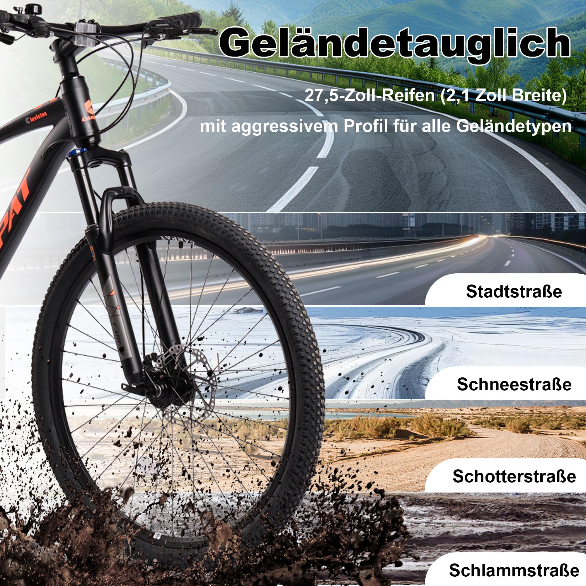 Vorschaubild 7