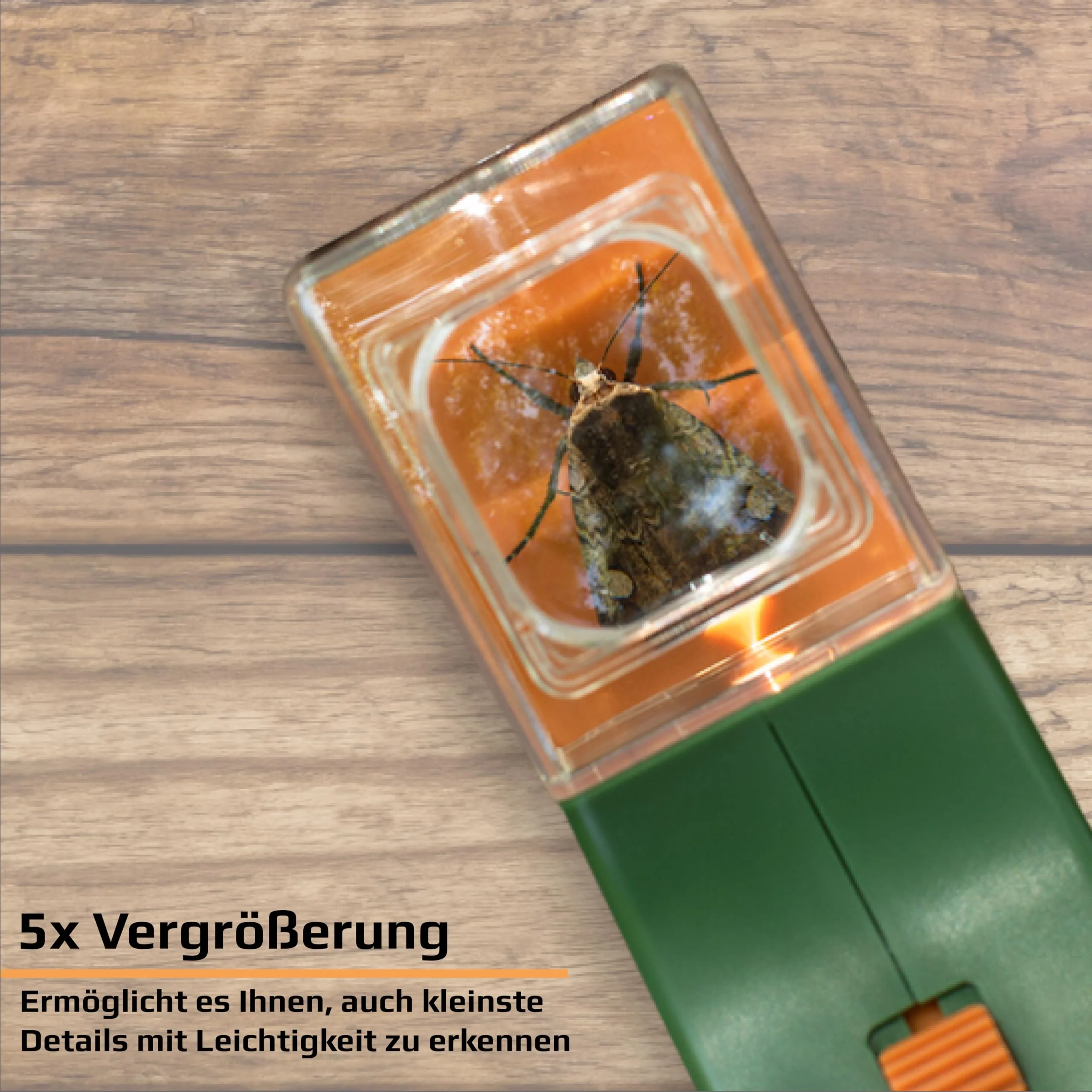 Vorschaubild 6