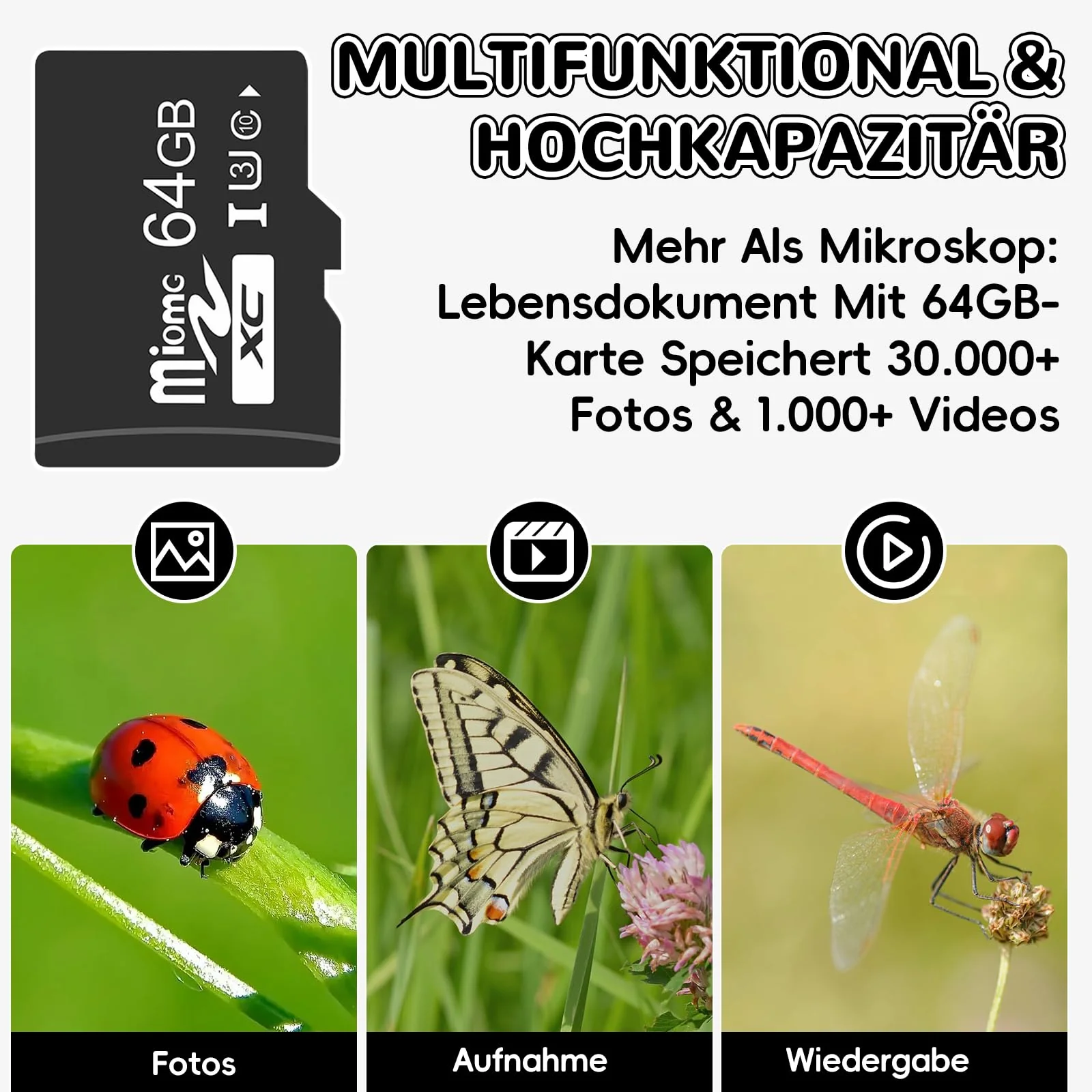 Vorschaubild 7