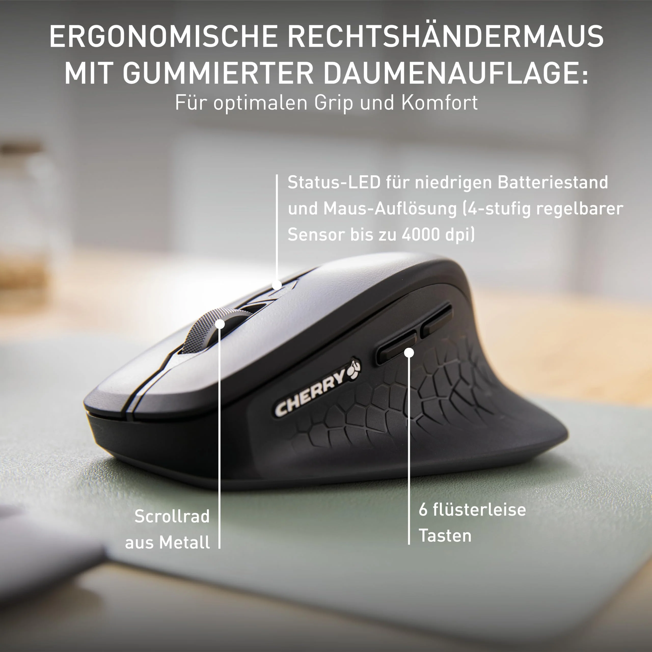 Vorschaubild 5