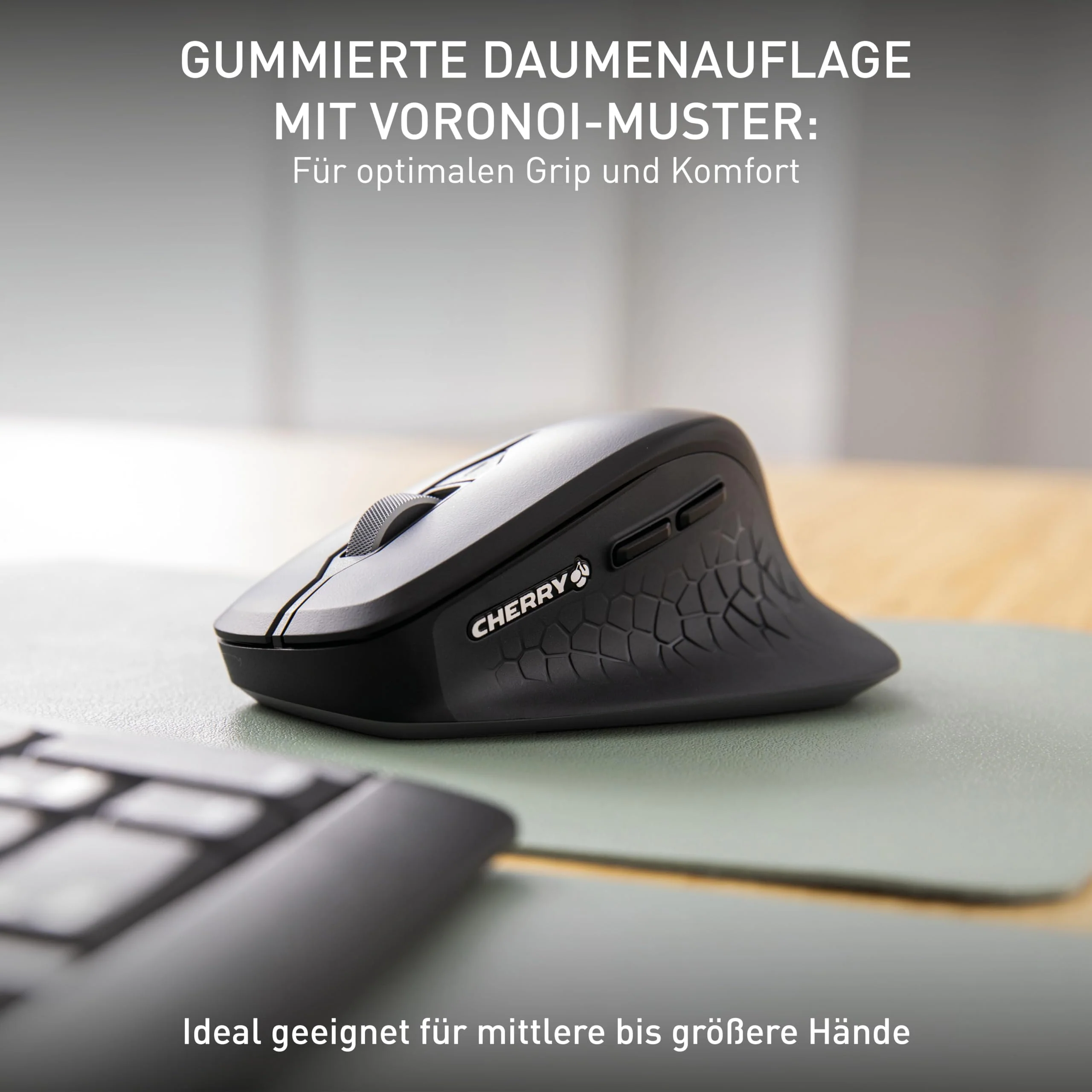 Vorschaubild 5