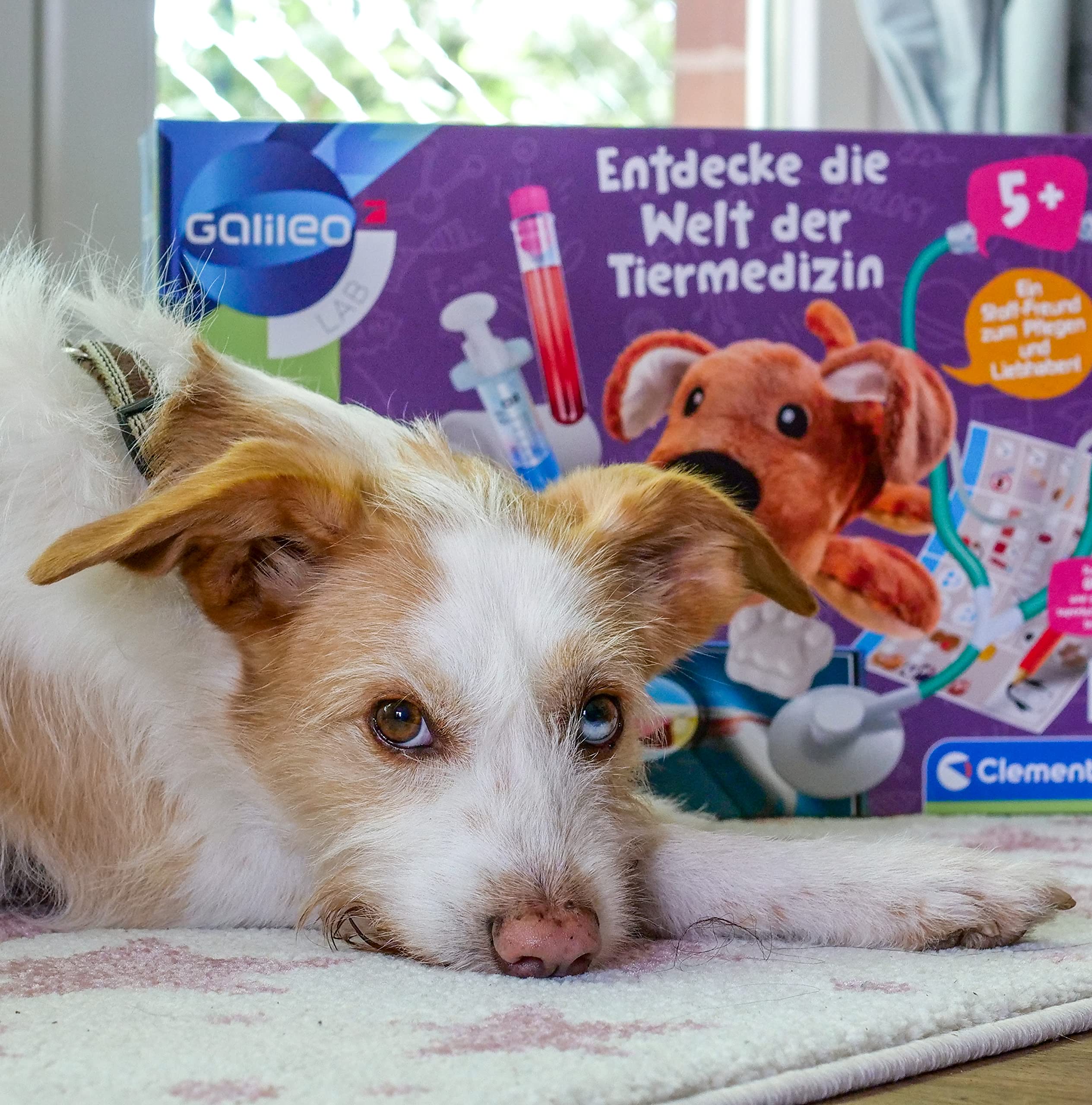 Vorschaubild 2