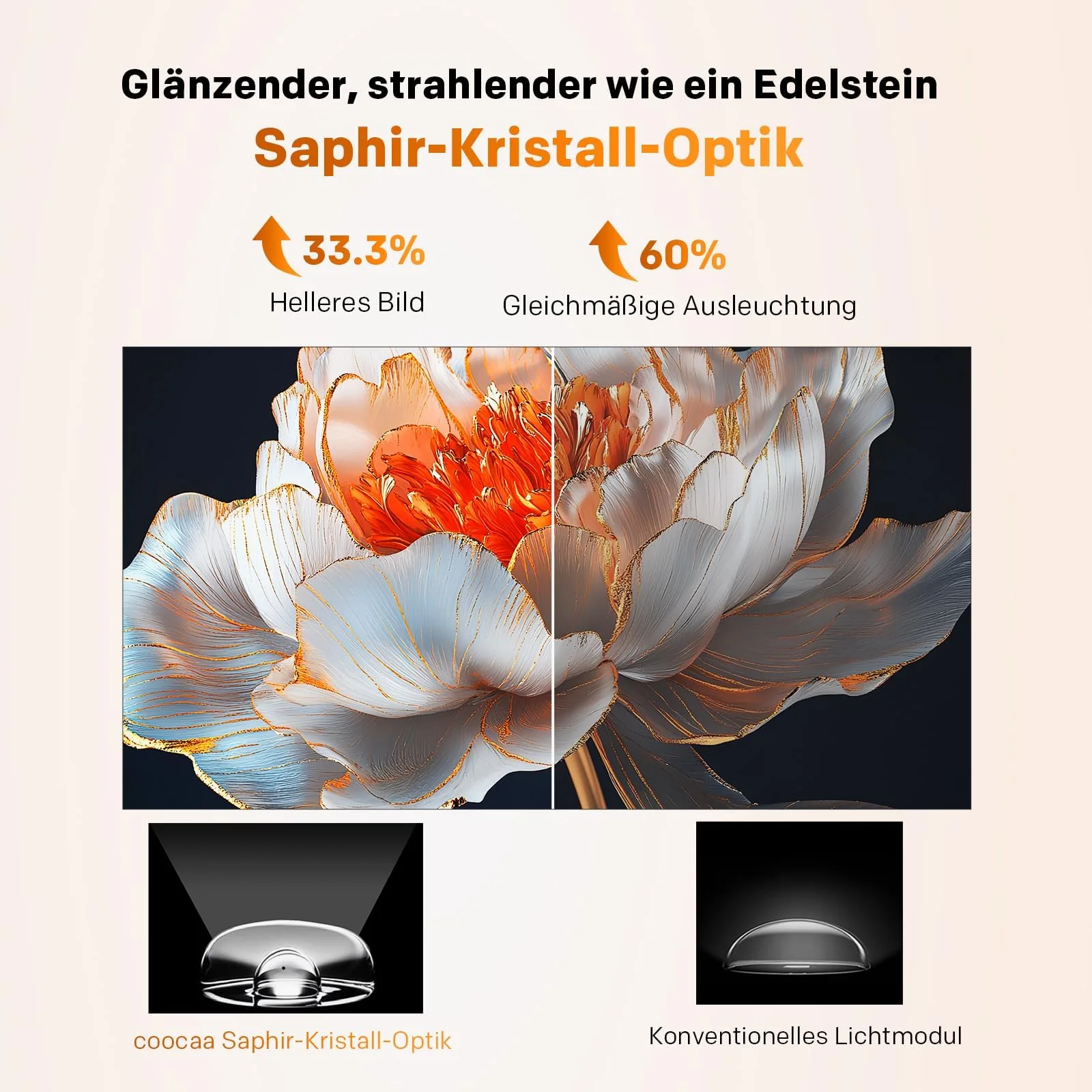 Vorschaubild 12