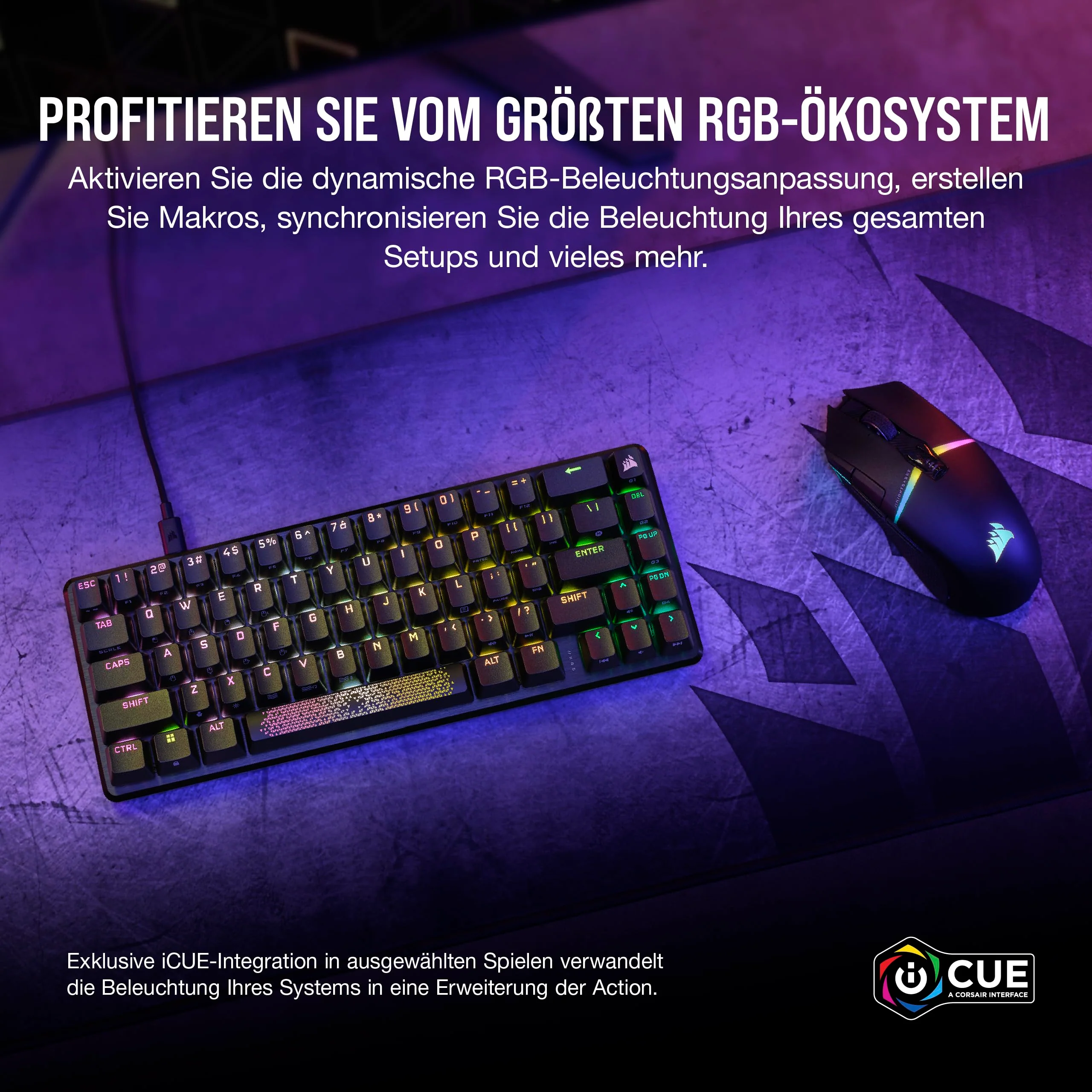 Vorschaubild 7