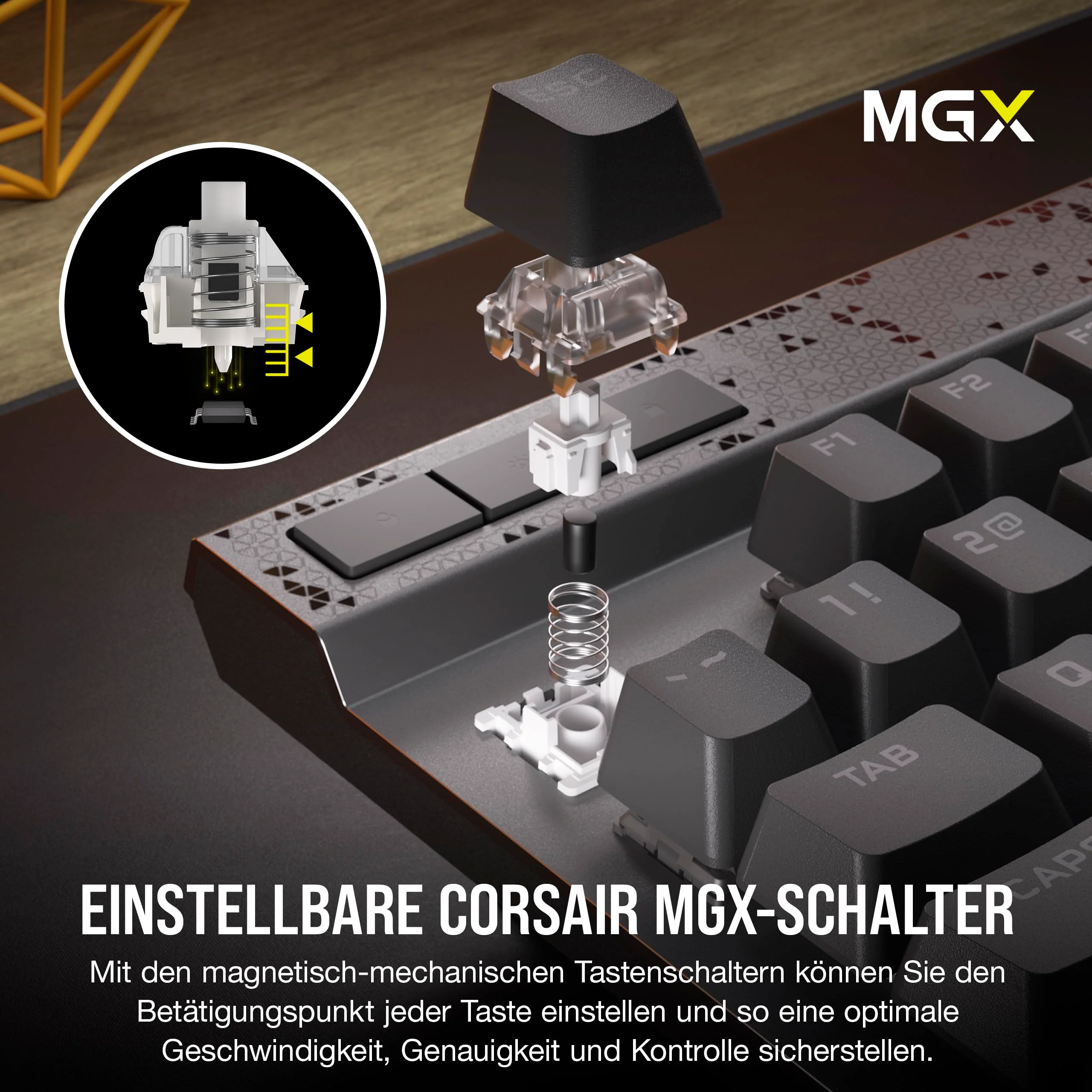 Vorschaubild 8