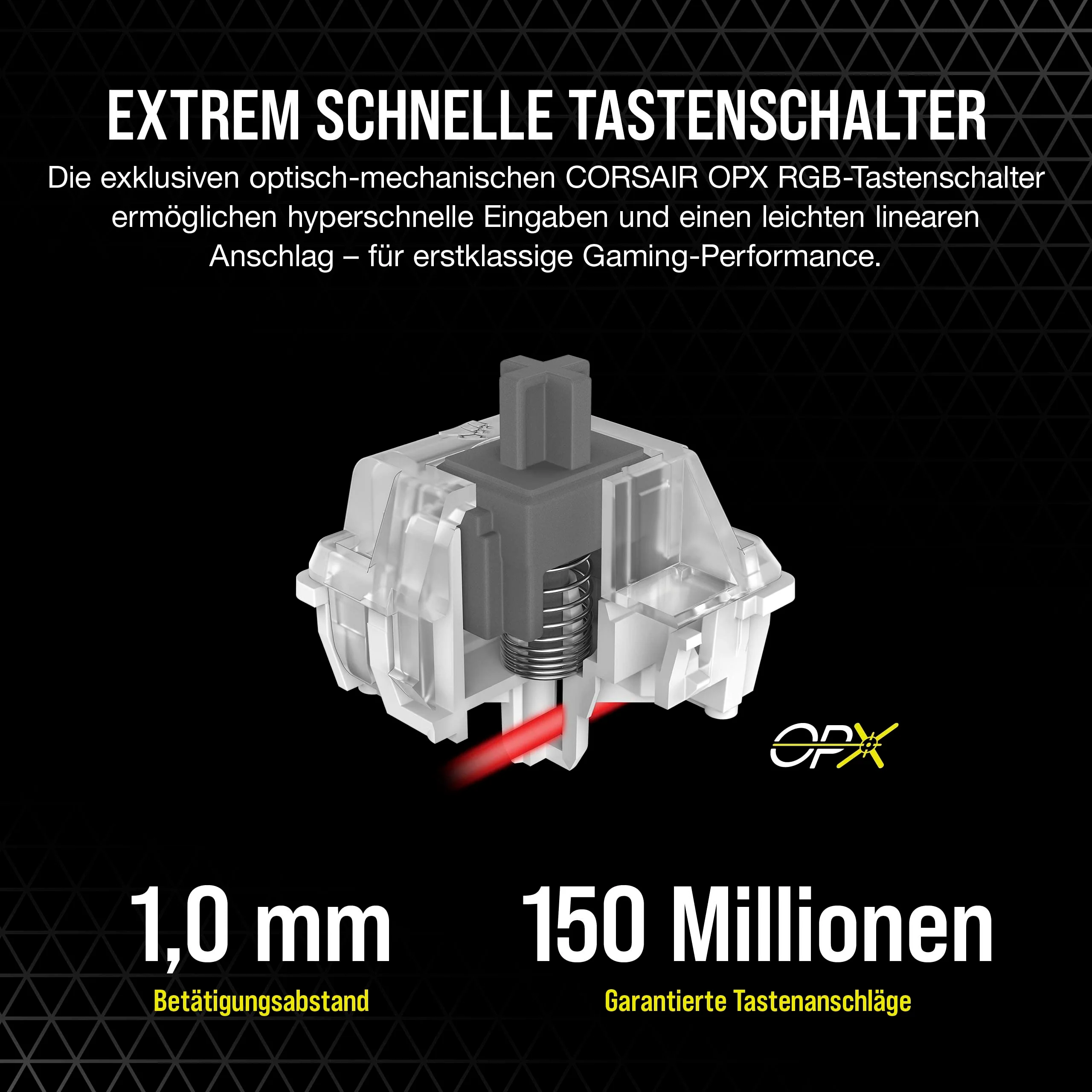 Vorschaubild 5