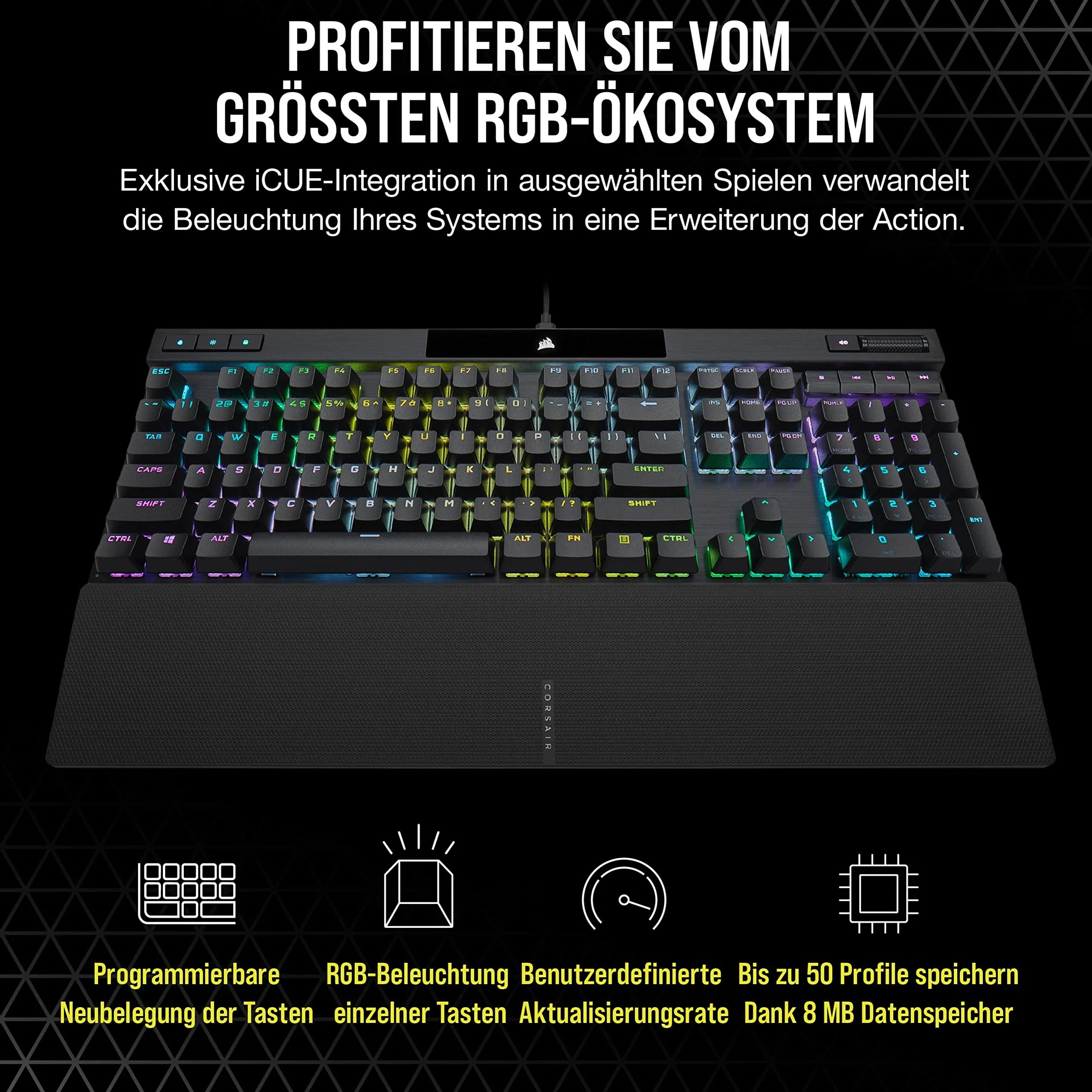 Vorschaubild 9