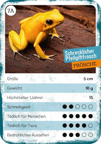Vorschaubild 4