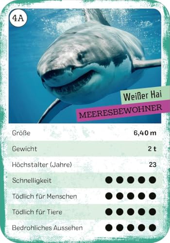 Vorschaubild 6