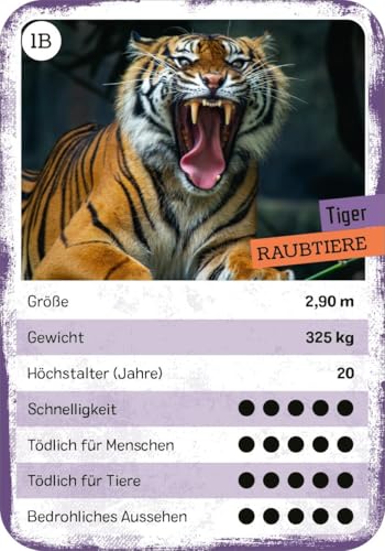 Vorschaubild 7