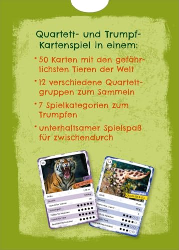 Vorschaubild 8