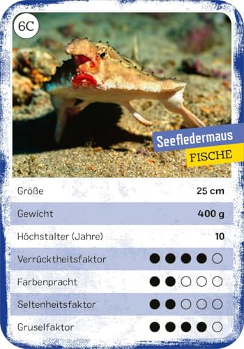 Vorschaubild 4