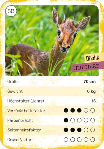 Vorschaubild 5