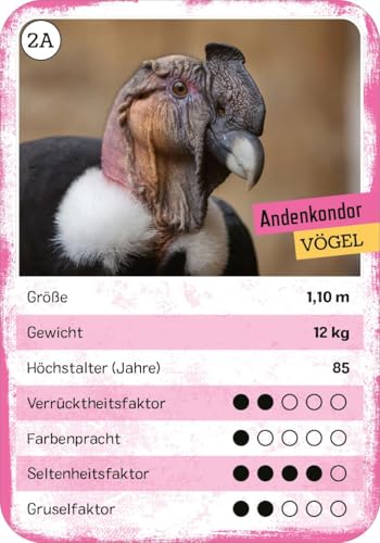 Vorschaubild 6