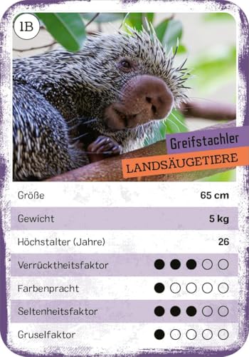 Vorschaubild 7