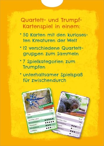 Vorschaubild 8